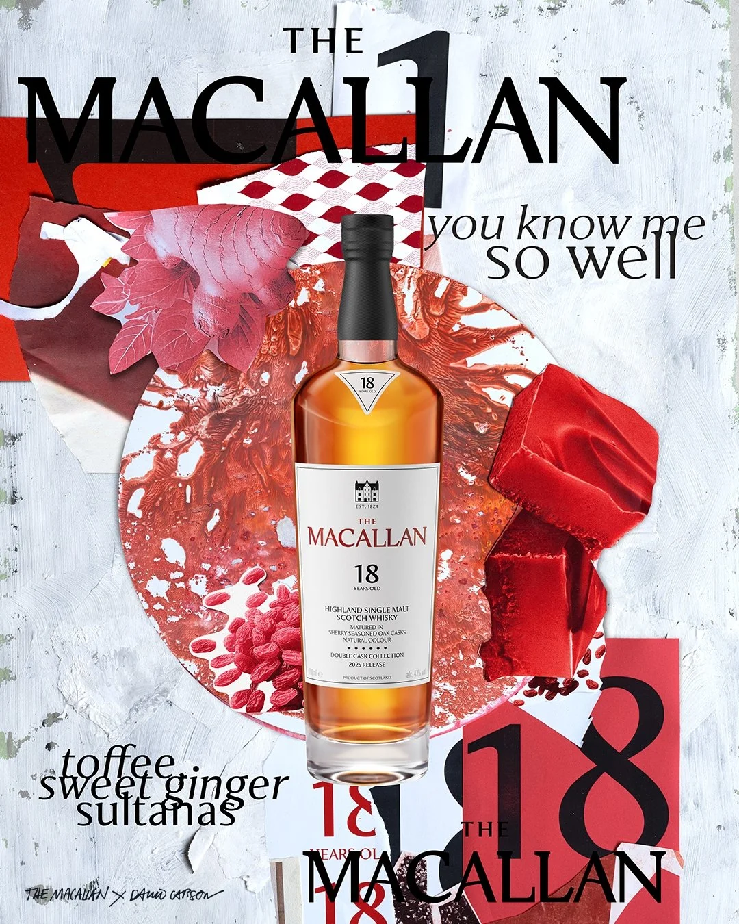 The Macallan x David Carson