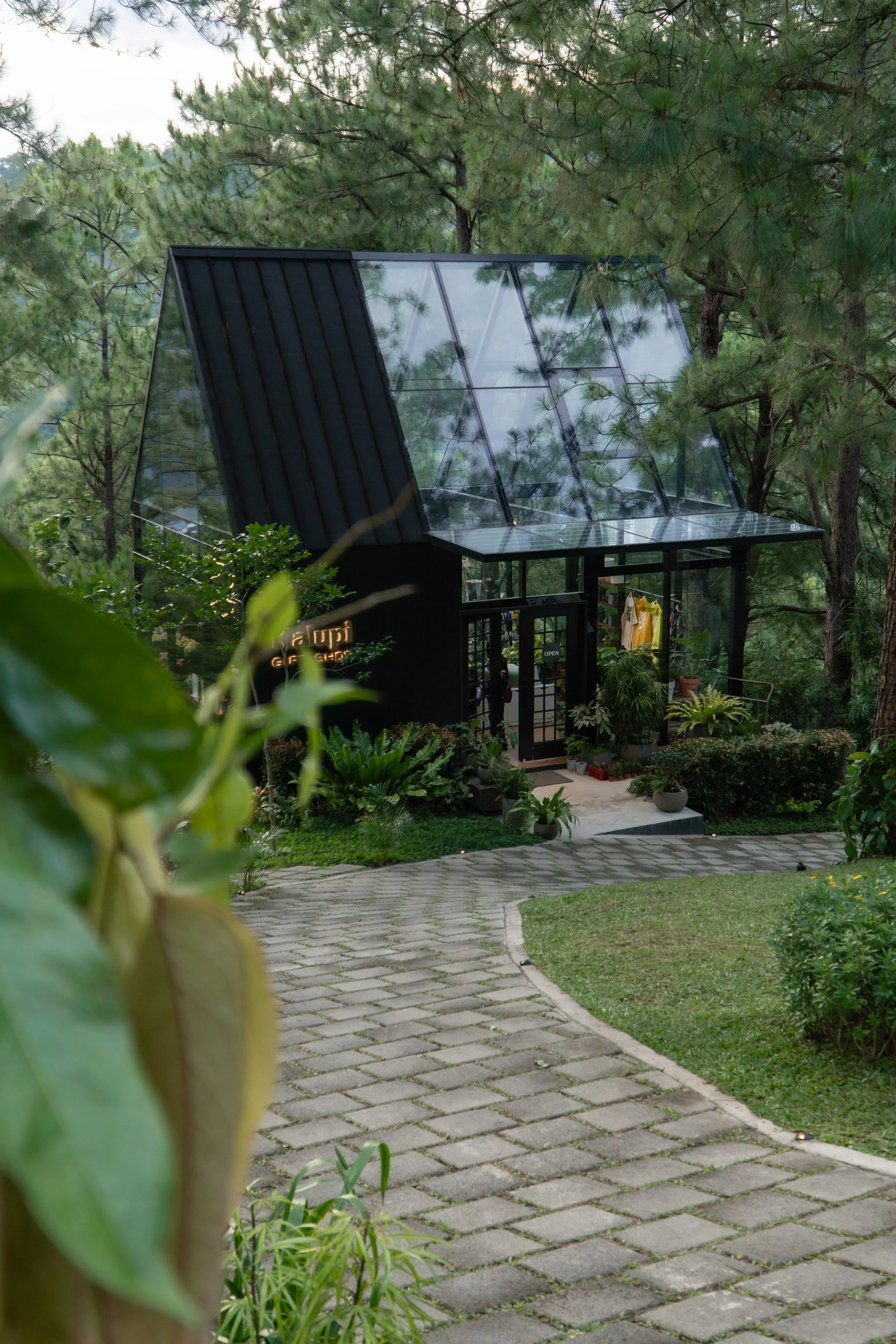 20251115-Baguio-71.jpg