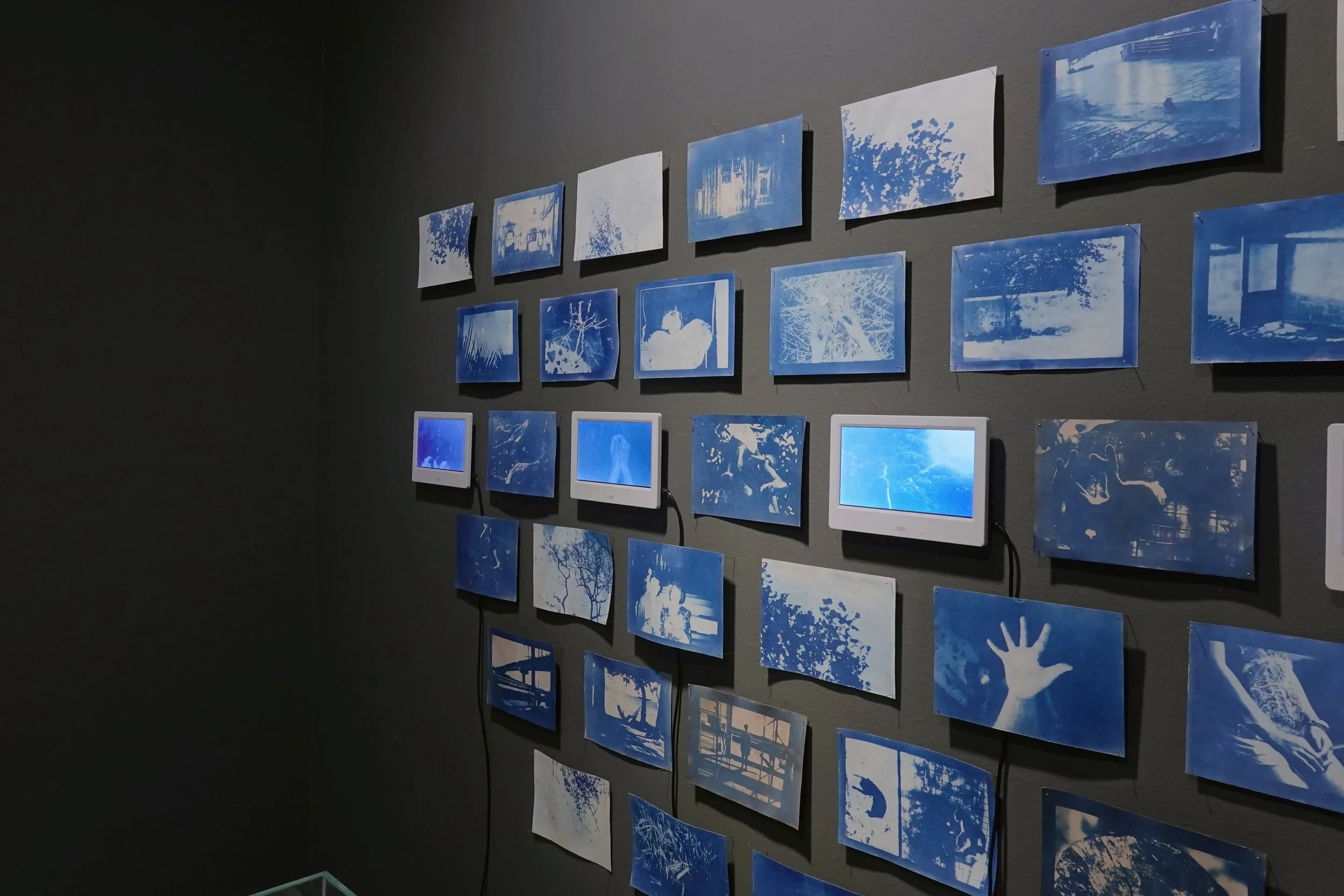 Sanchez, Eunice, Agpakada,  Four-channel video and cyanotype prints on paper, Variable, 2023, Photo courtesy of West Gallery
