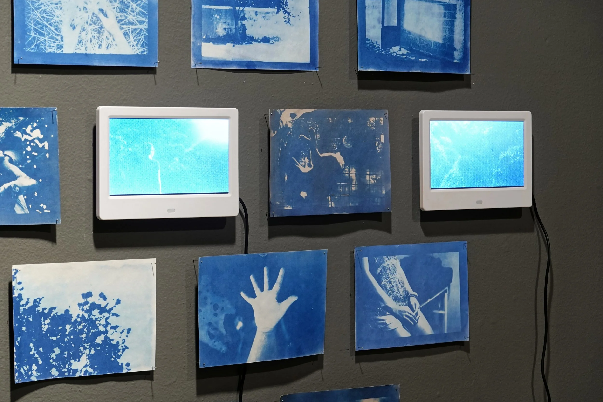 Sanchez, Eunice, Agpakada,  Four-channel video and cyanotype prints on paper, Variable, 2023, Photo courtesy of West Gallery
