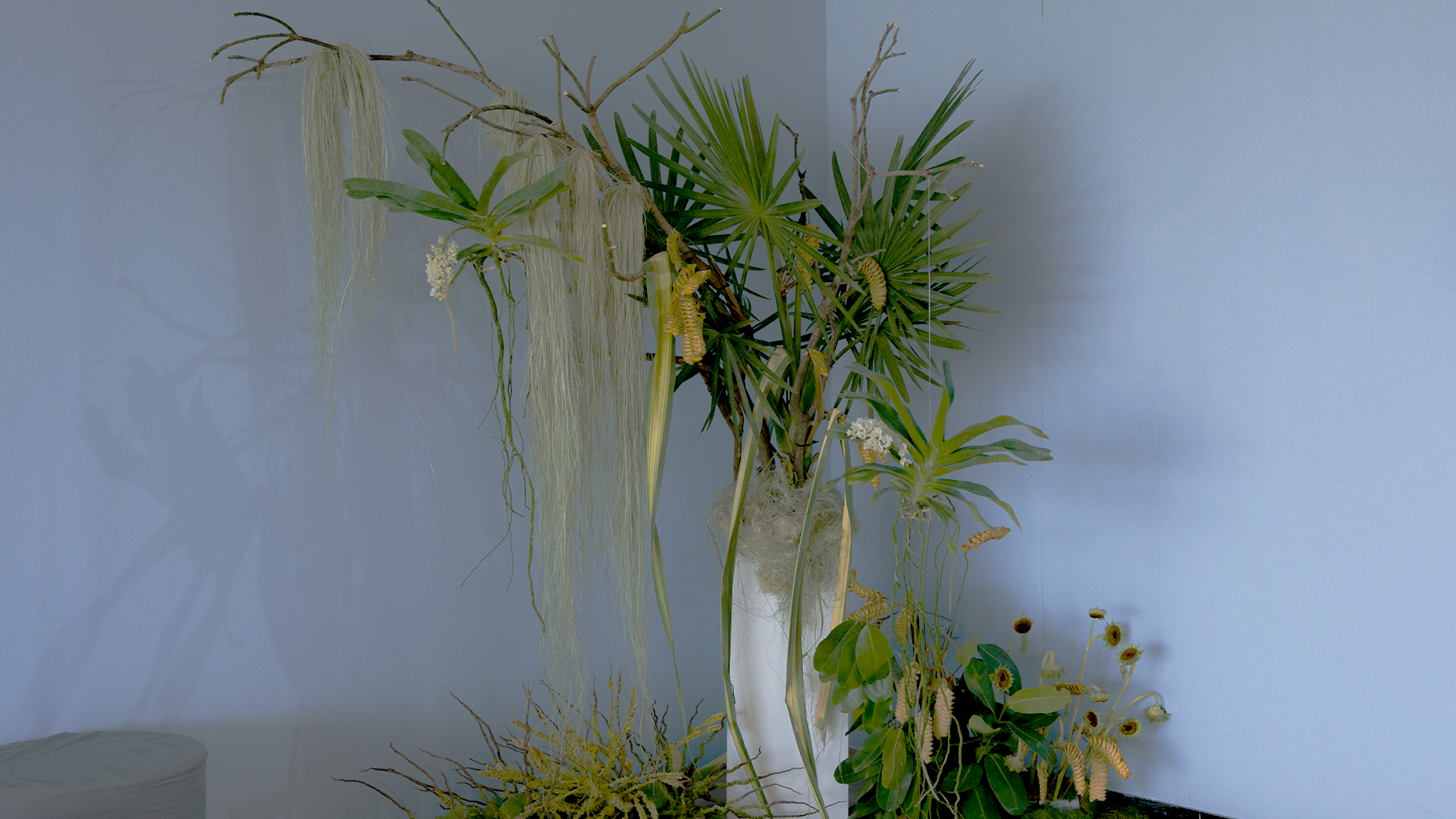 SPRUCE and the Art of Letting a Room Breathe