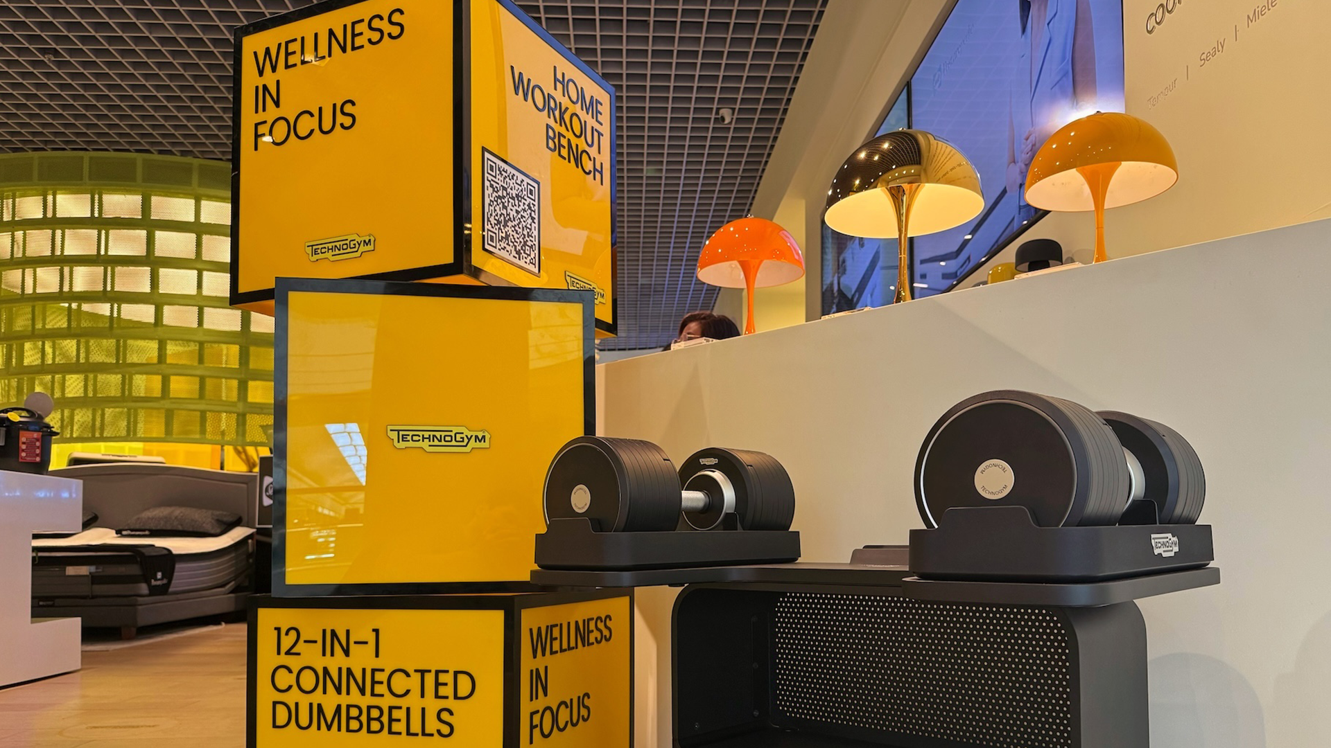 Wellness in Focus