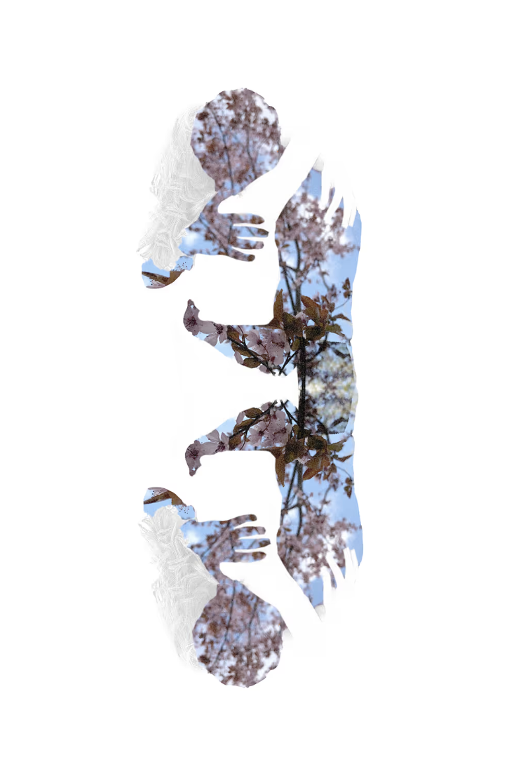 WITHIN THIS TOUCH #3
