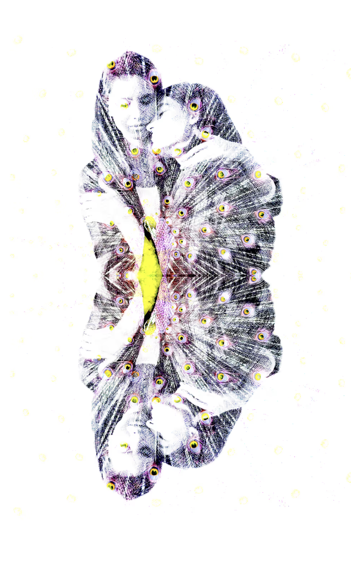 WITHIN THIS TOUCH #4