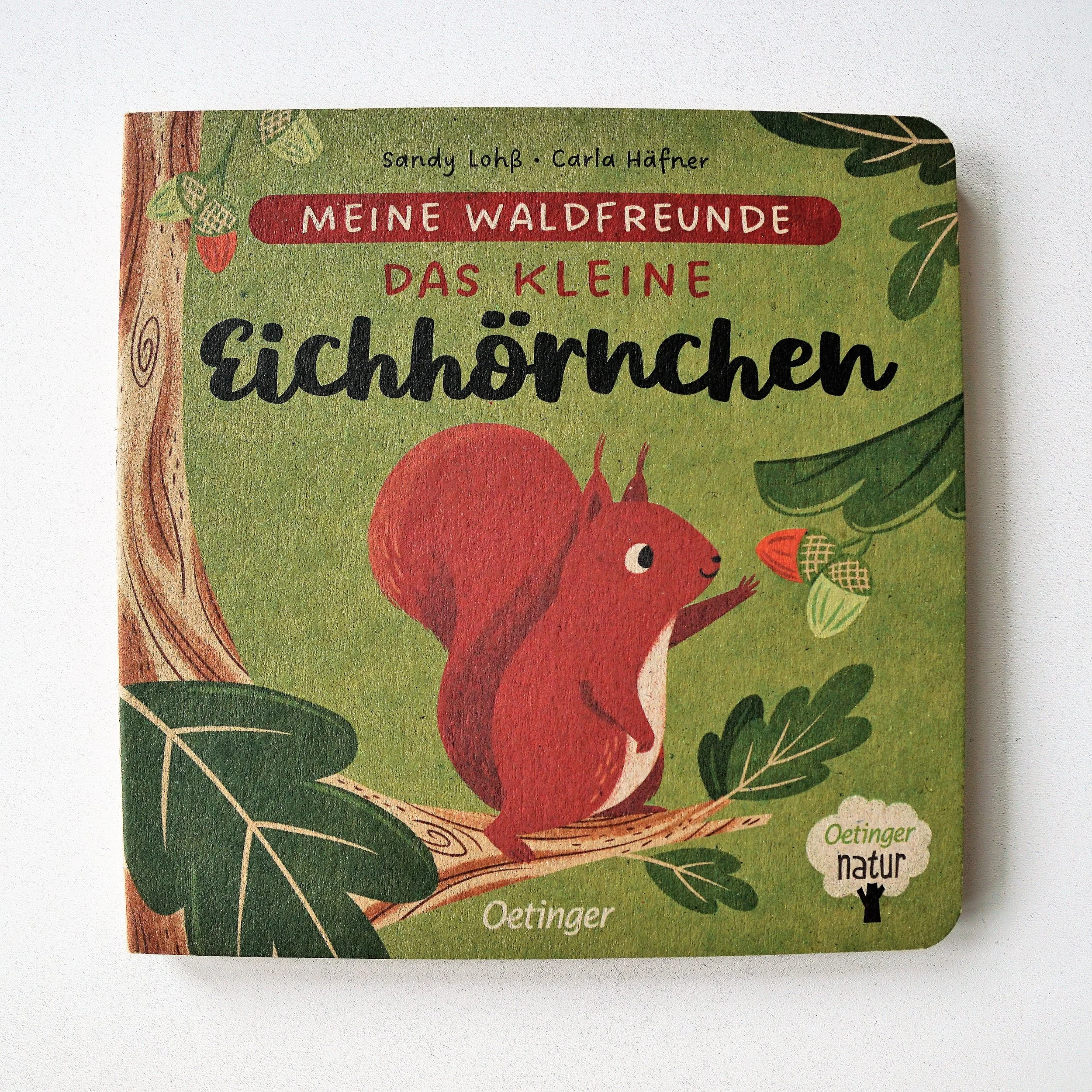 Meine Waldfreunde: Das kleine Eichhörnchen