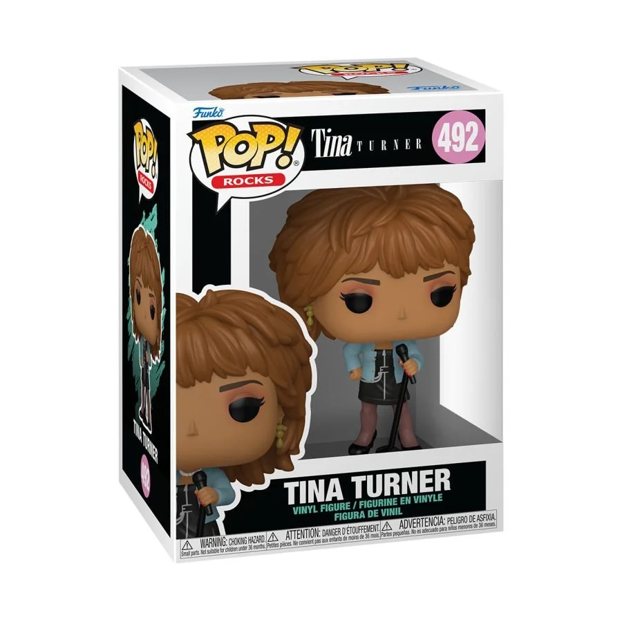 FUN90128--Tina-Turner-Whats-Love-Got-To-Do-With-It-Pop-02.jpg