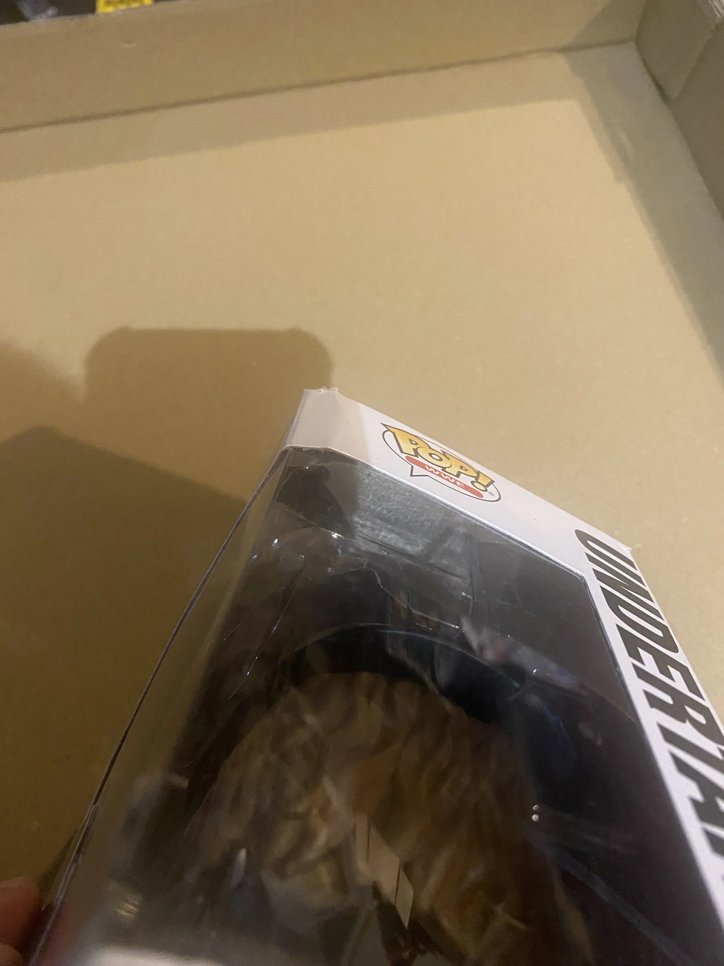 FUN62381 - damage4.jpeg