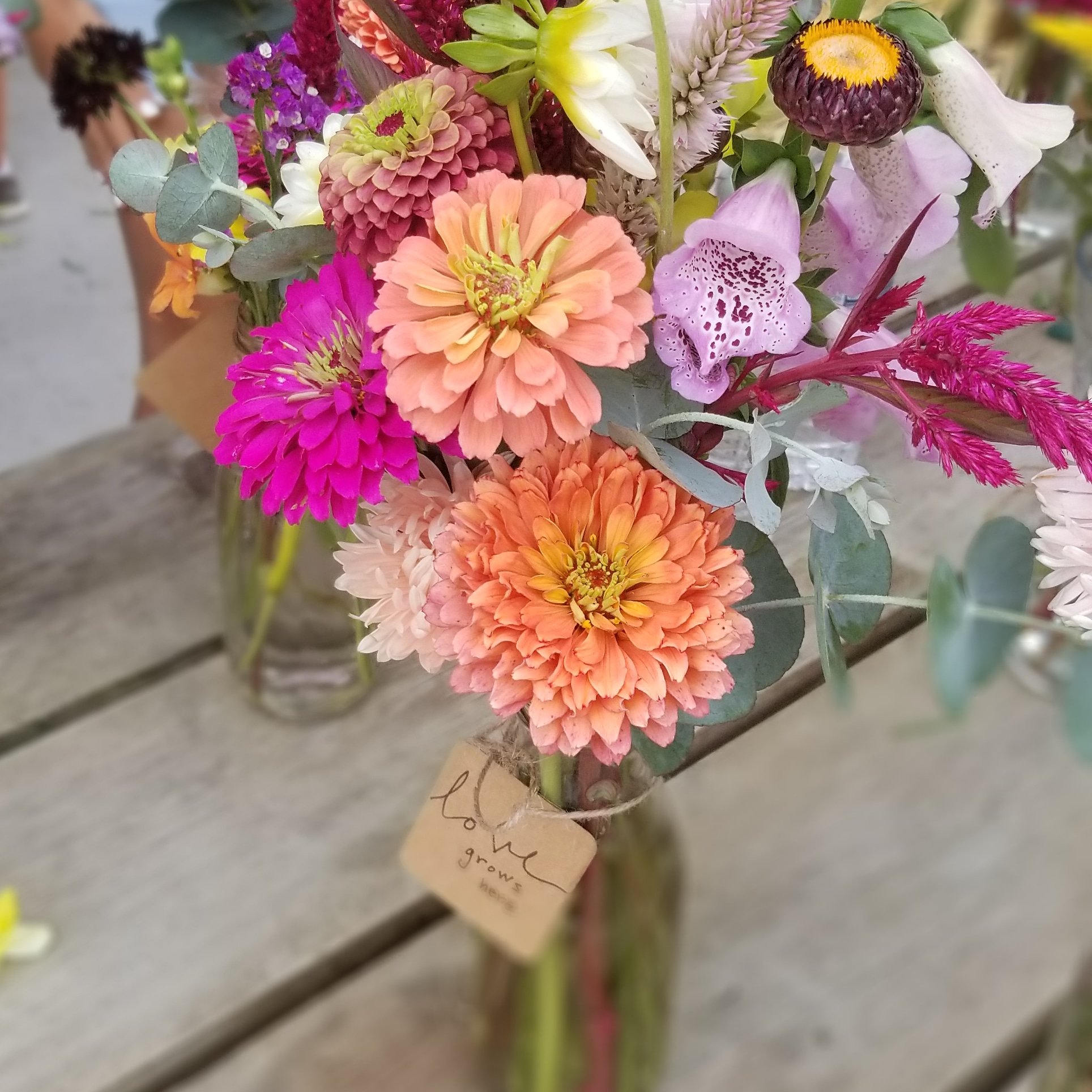 How to plan your BEST Cut Flower Garden ever!