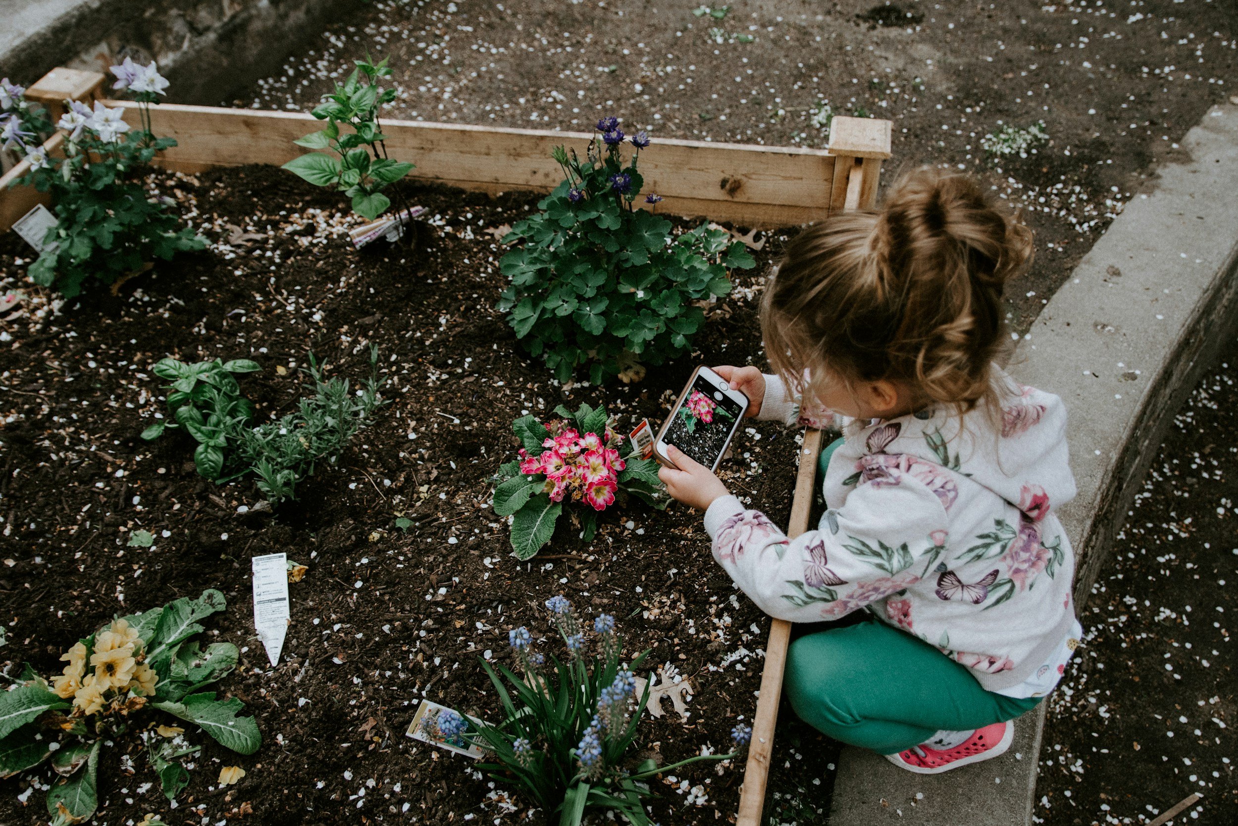 How do you involve your kids in gardening?