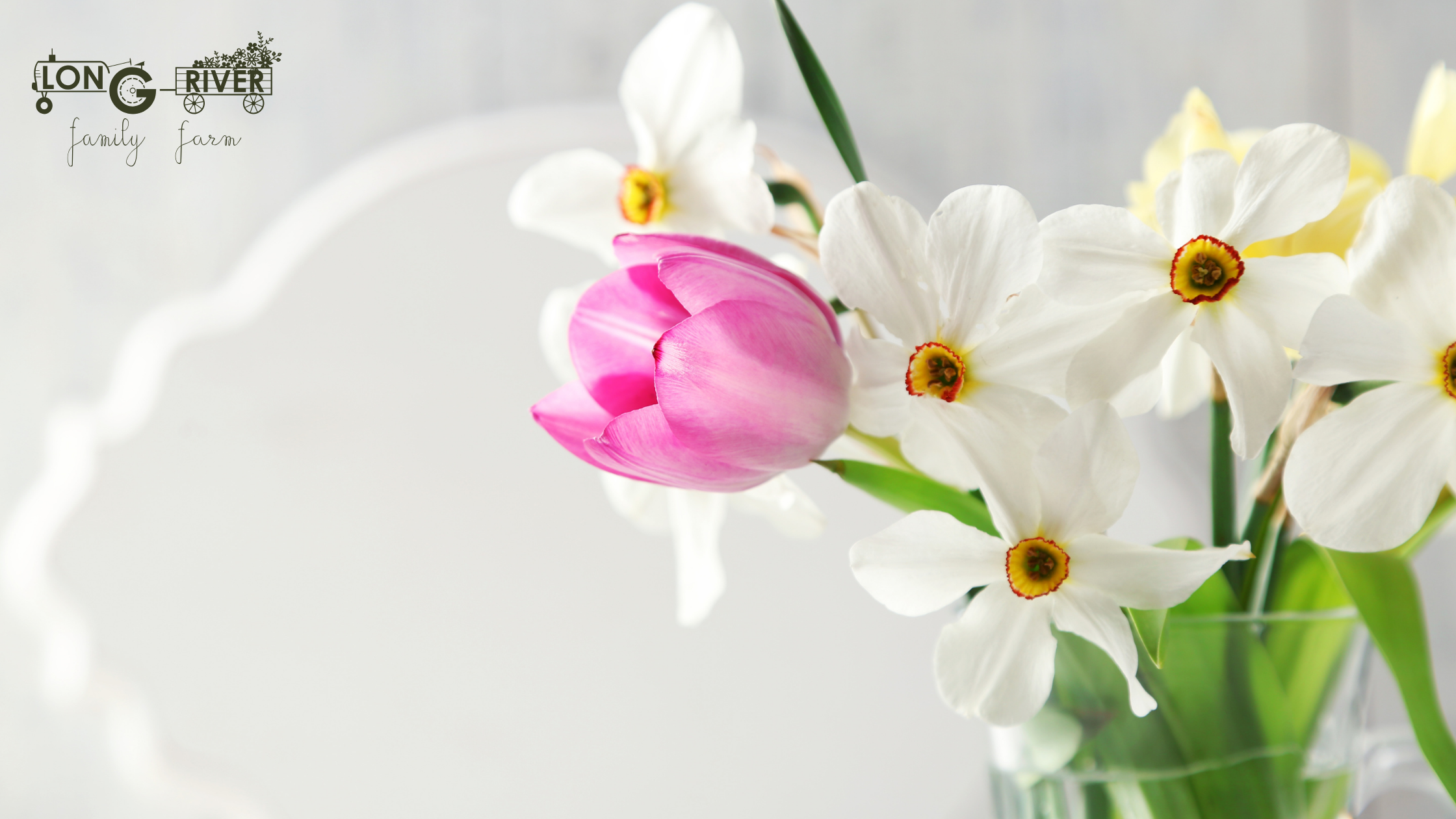 Planting Bulbs for a Spring Cut Flower Garden Display