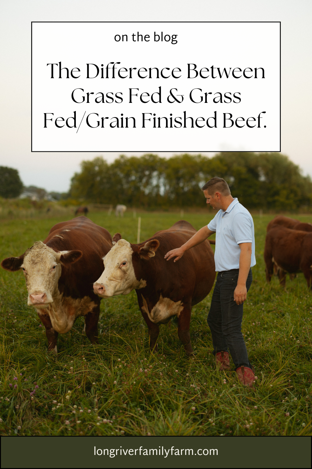 The Difference Between Grass Fed and Grass Fed/Grain Finished Beef.