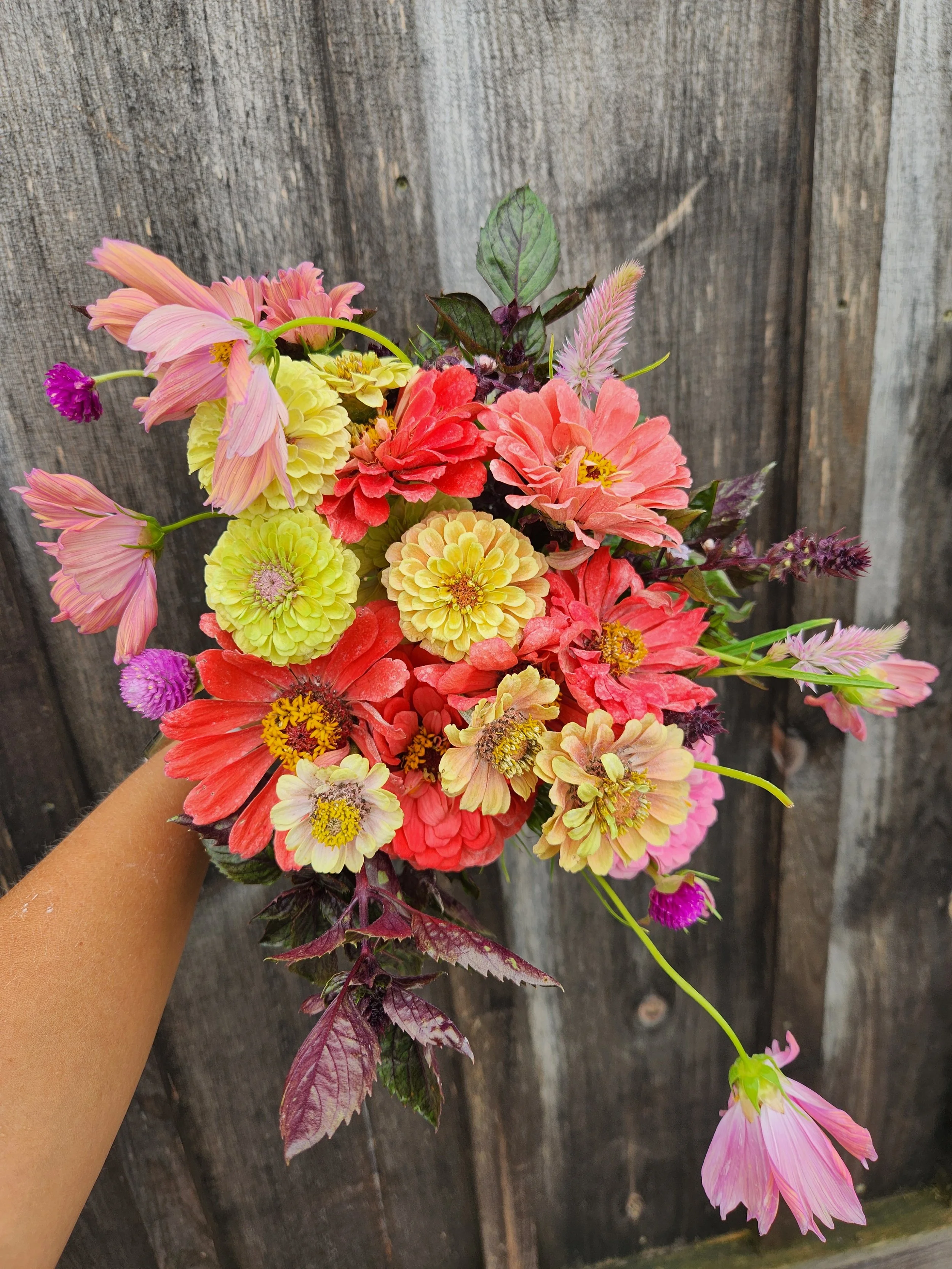 What I Changed About Harvesting That Made My Bouquets Last Days Longer