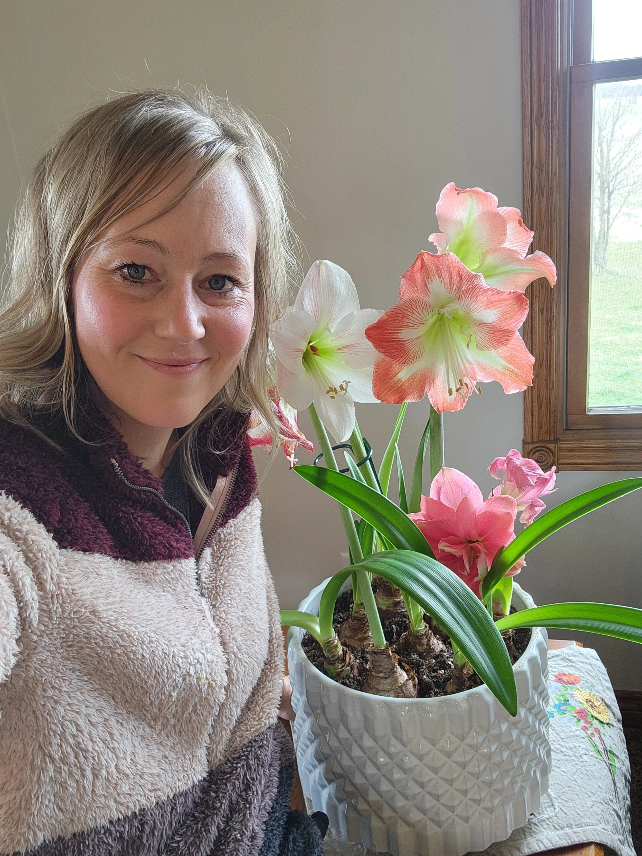 Amaryllis Magic: How to Make Your Bulbs Bloom Again