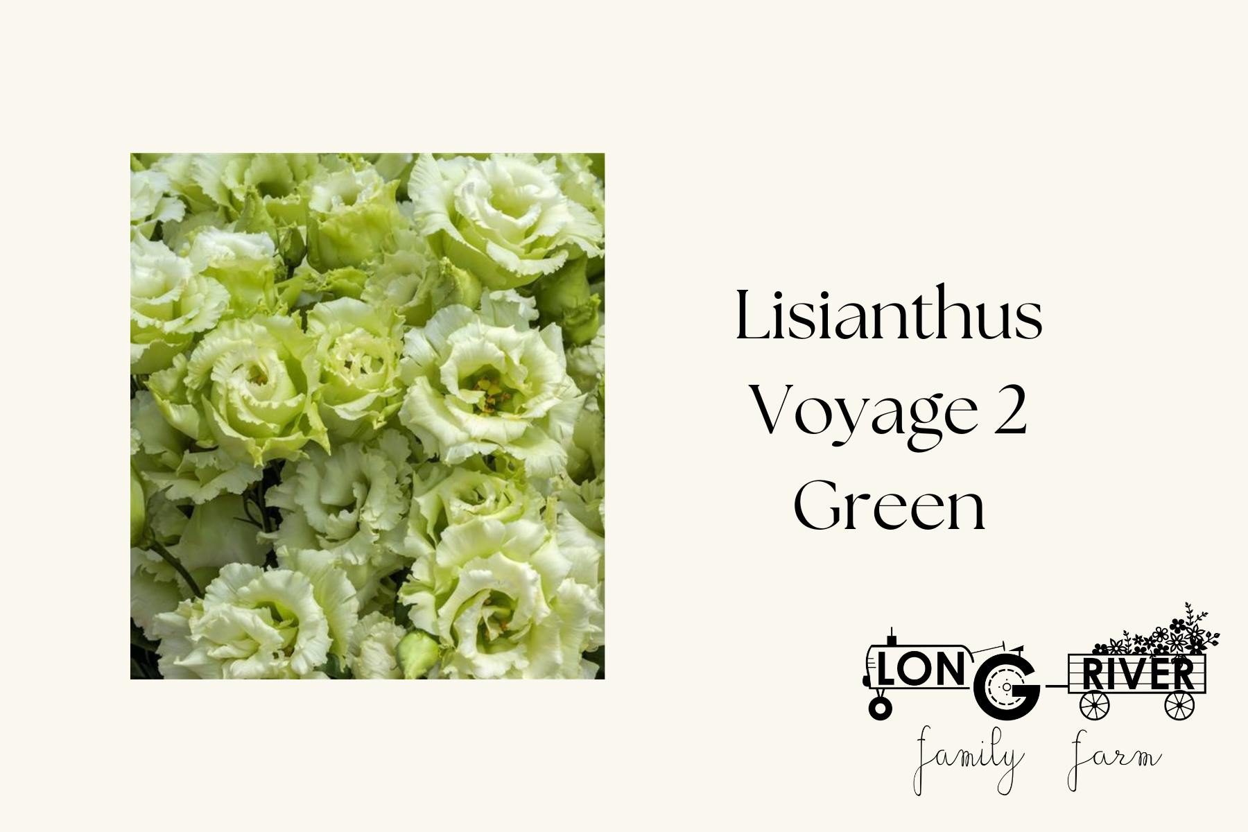 Voyage 2 Green.png