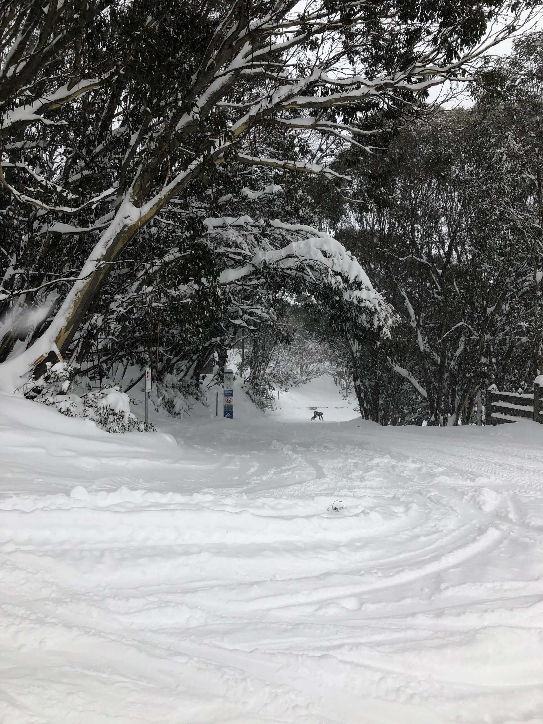 Descendre les rues en snowboard  (Copy)