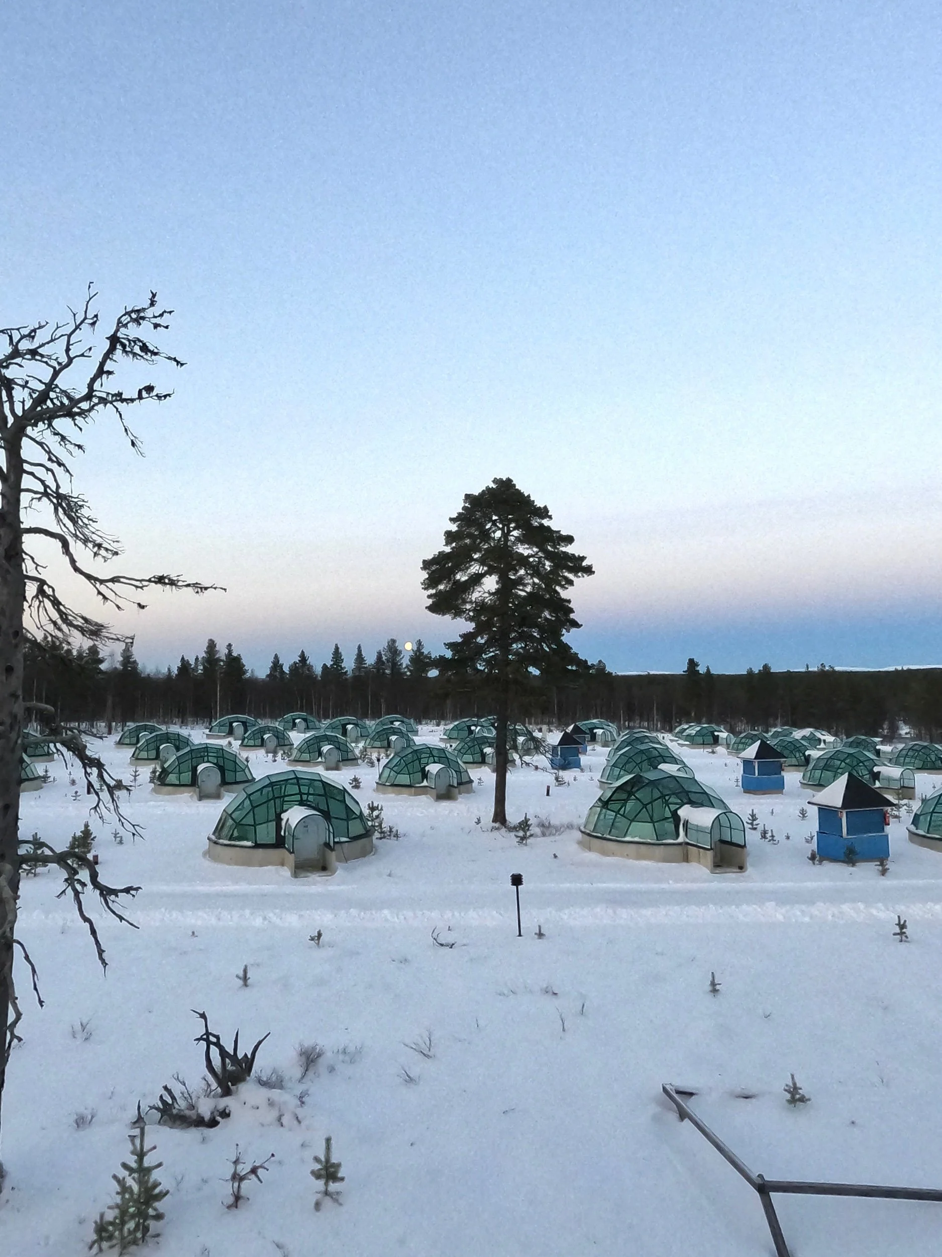 Les igloos  (Copy)