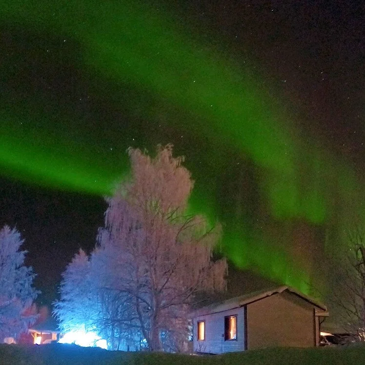 374F5C2E-8526-4E5F-95AA-9613BE0DF41A.jpeg