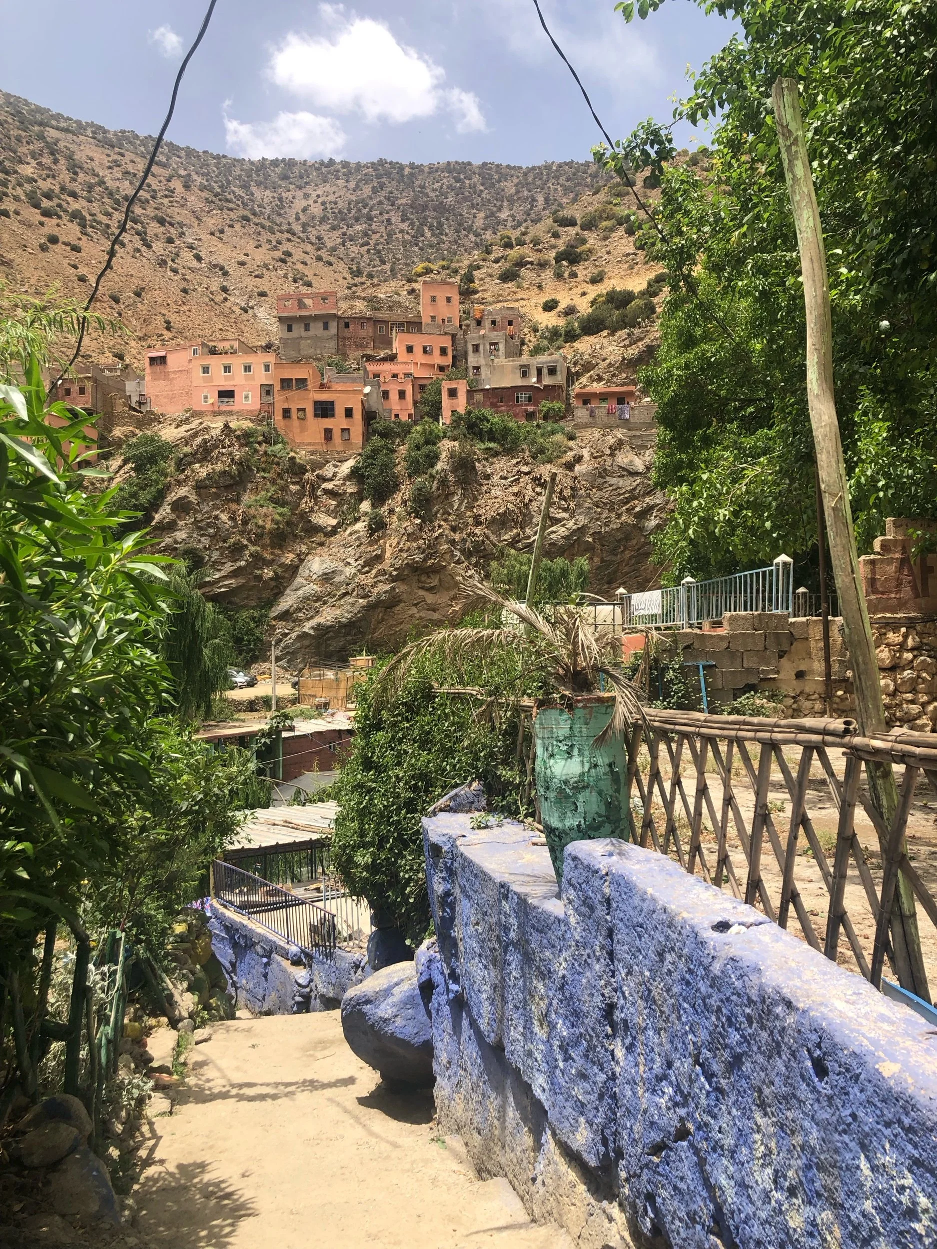 IMG_6518.jpeg