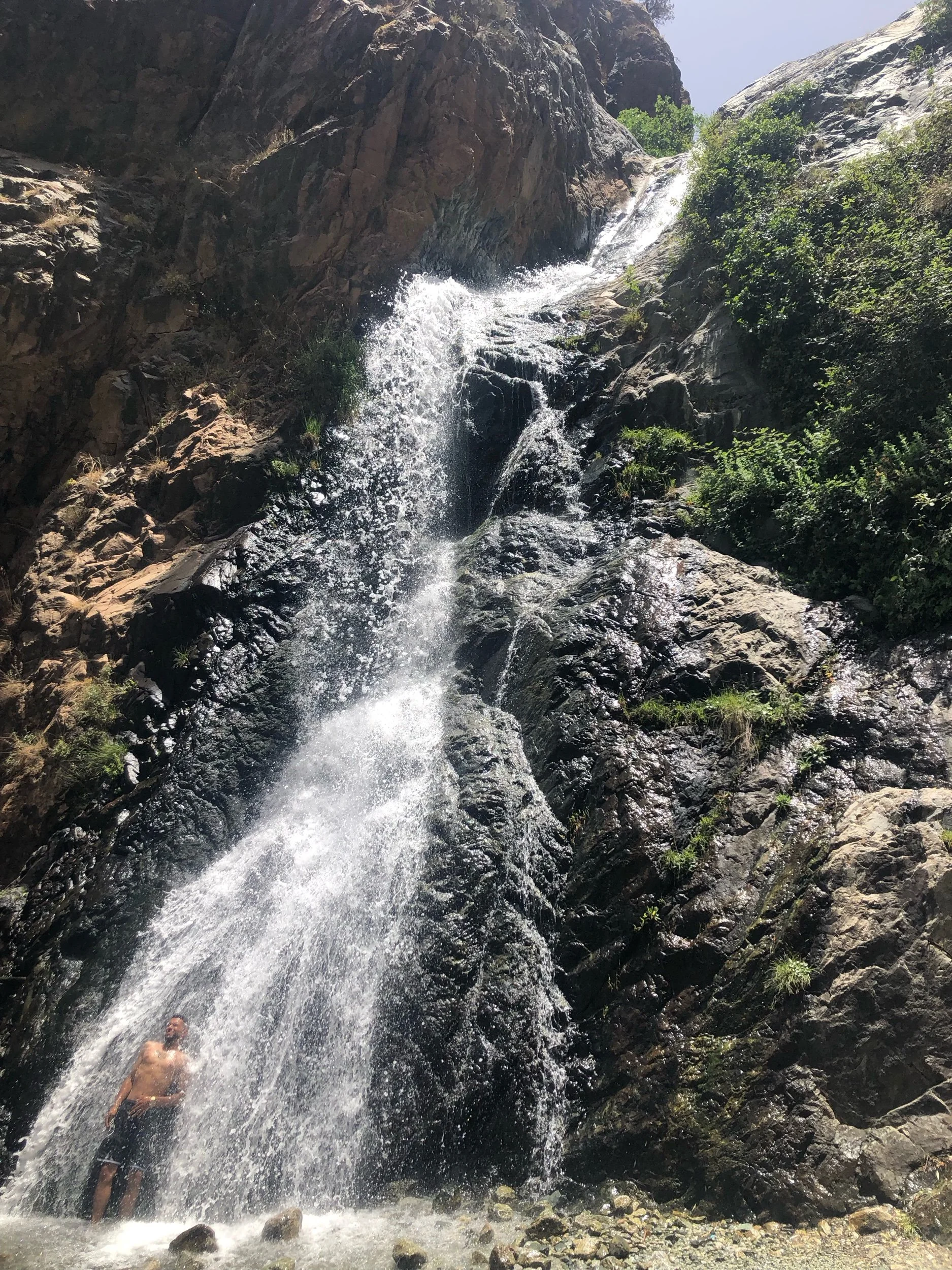 IMG_6493.jpeg