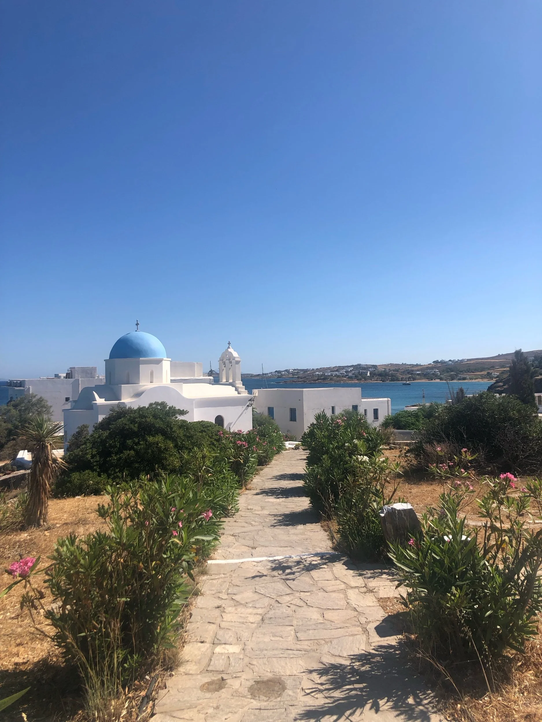 IMG_6698.jpeg