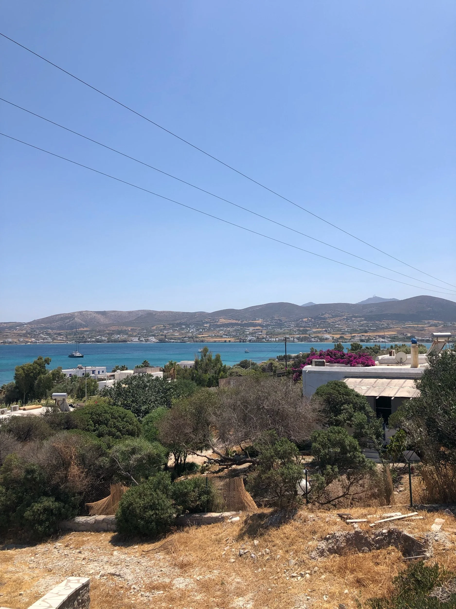 IMG_7014.jpeg