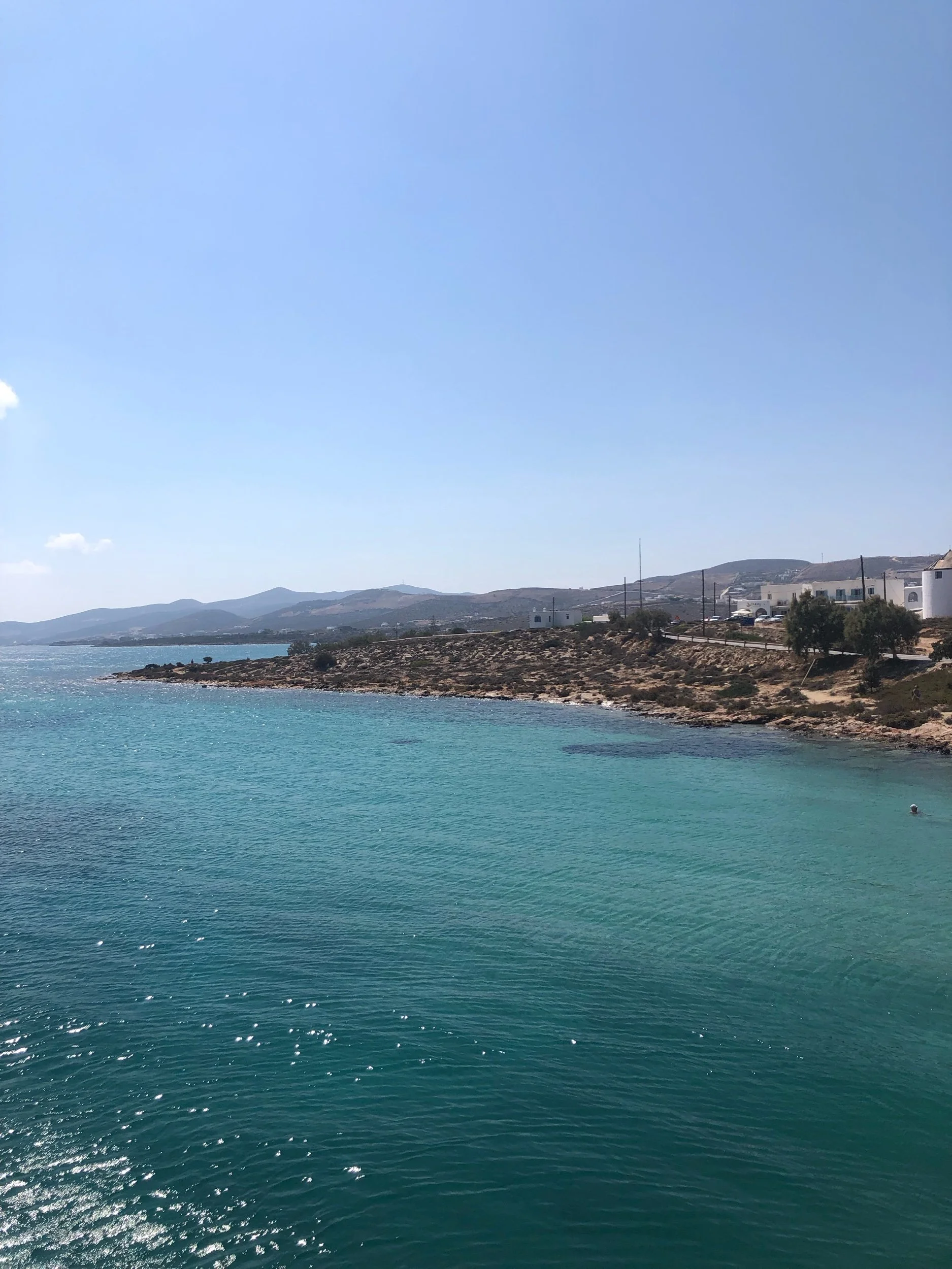IMG_7826.jpeg