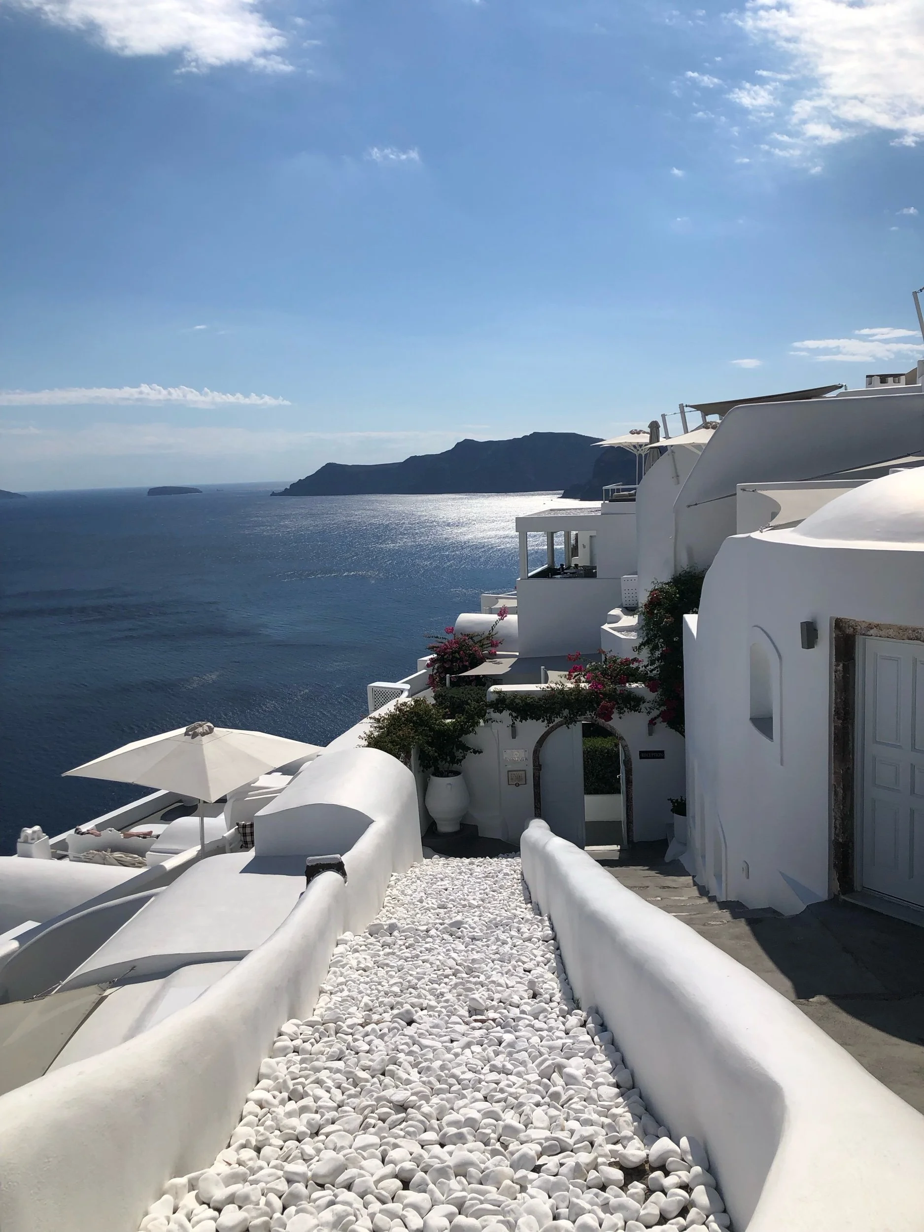 IMG_8194.jpeg