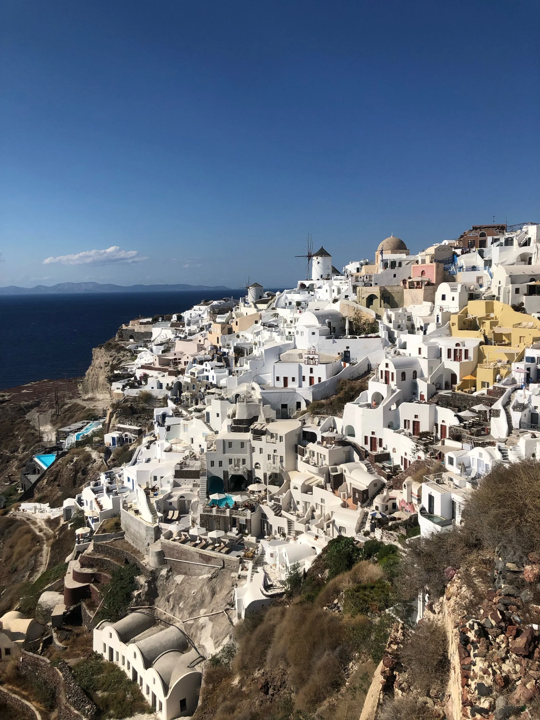 IMG_8235.jpeg