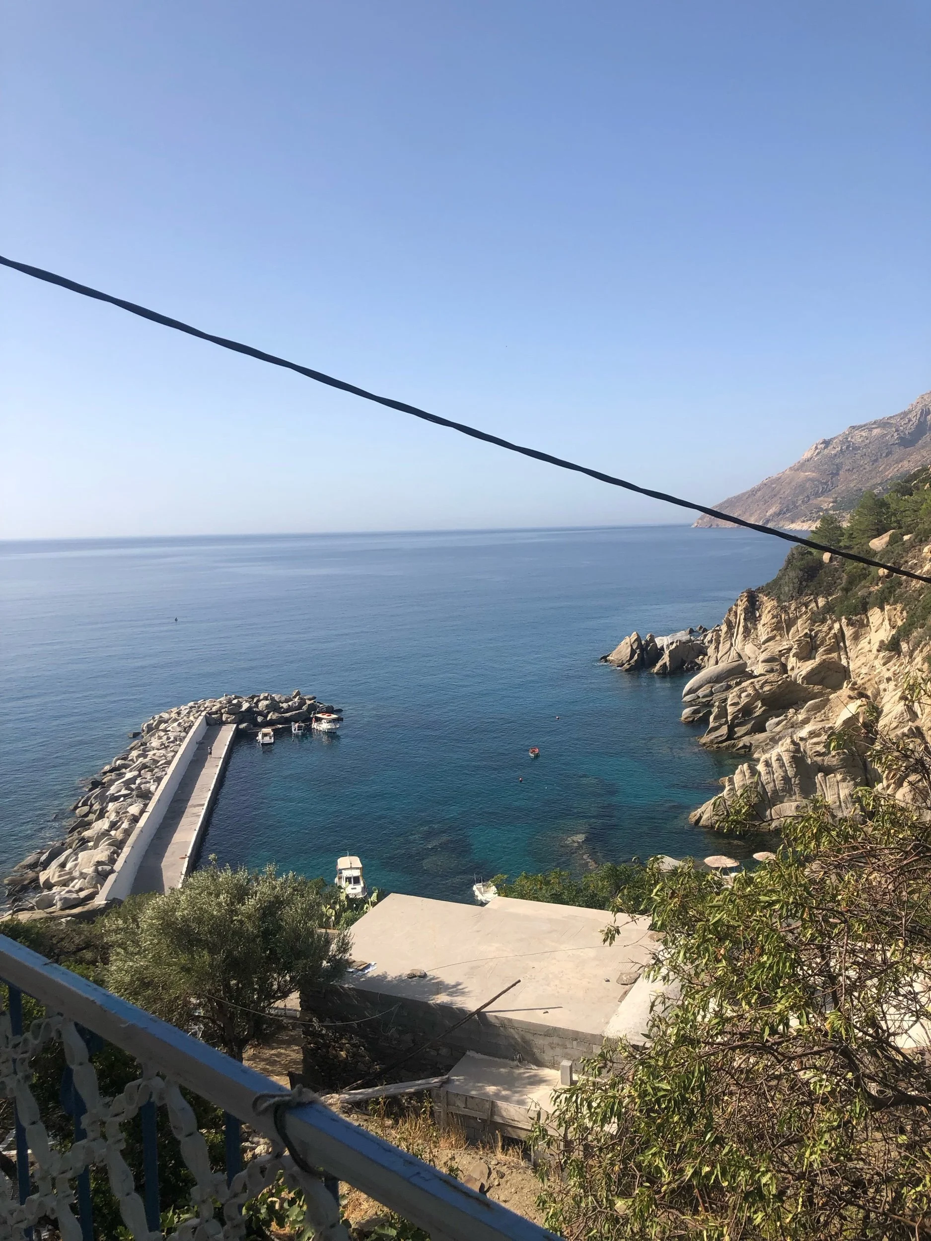 IMG_8393.jpeg