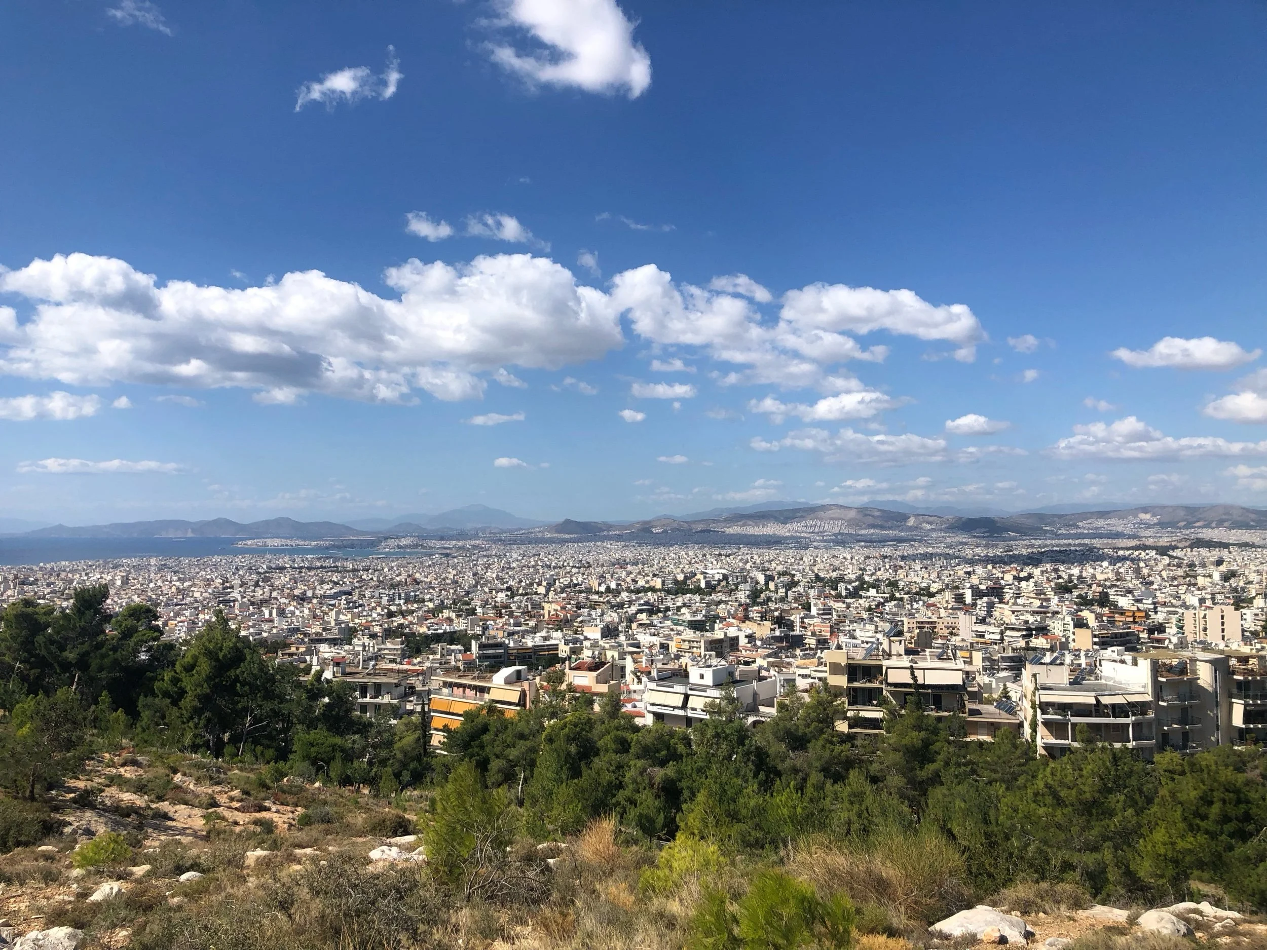 IMG_8513.jpeg