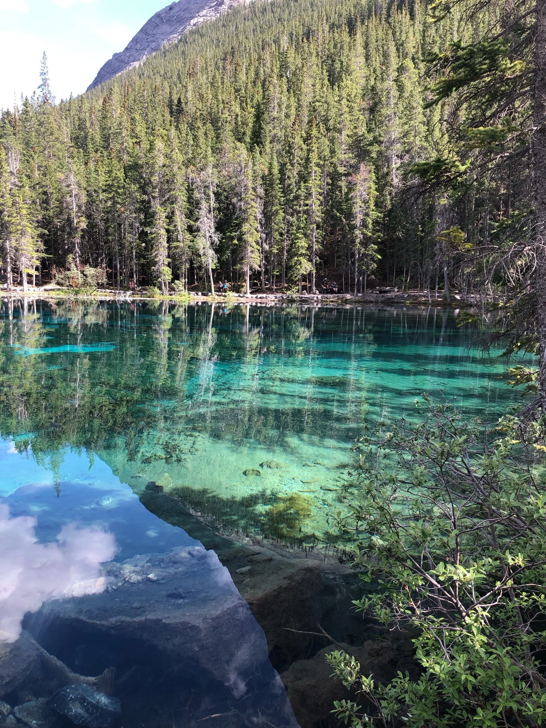 Grassi lake (Copy)