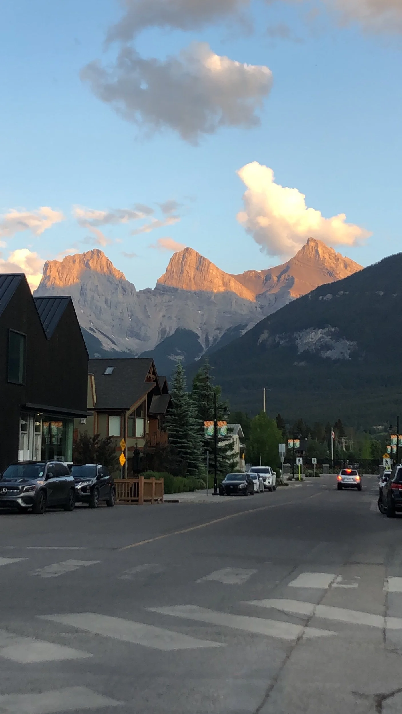 Three sisters (Copy)