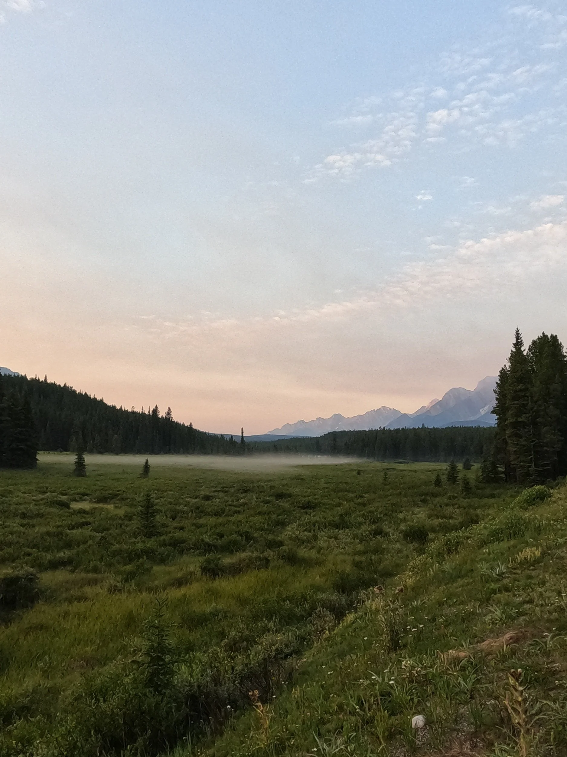 Kananaskis (Copy)