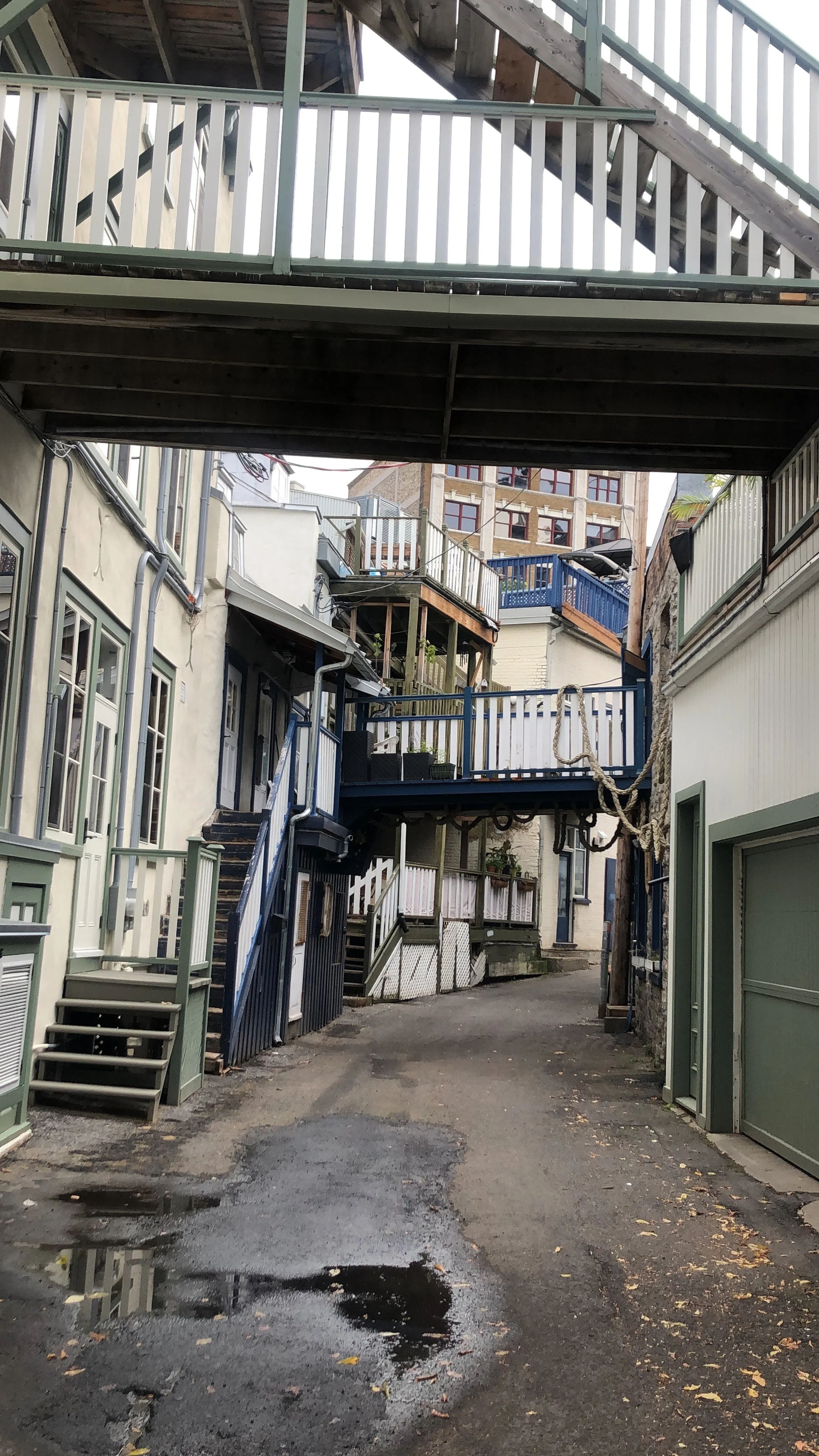 IMG_3613.jpeg