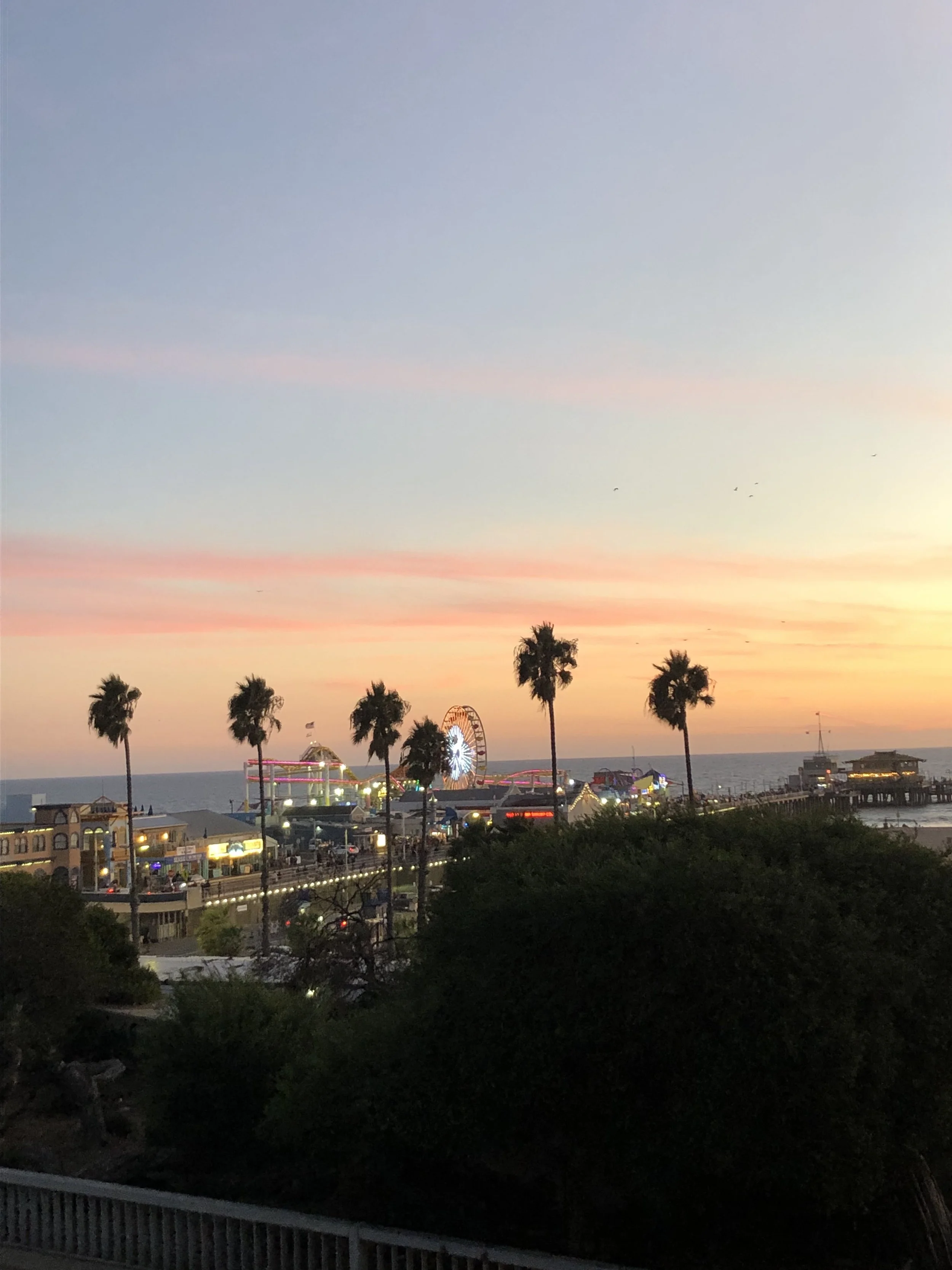 IMG_3954.jpeg