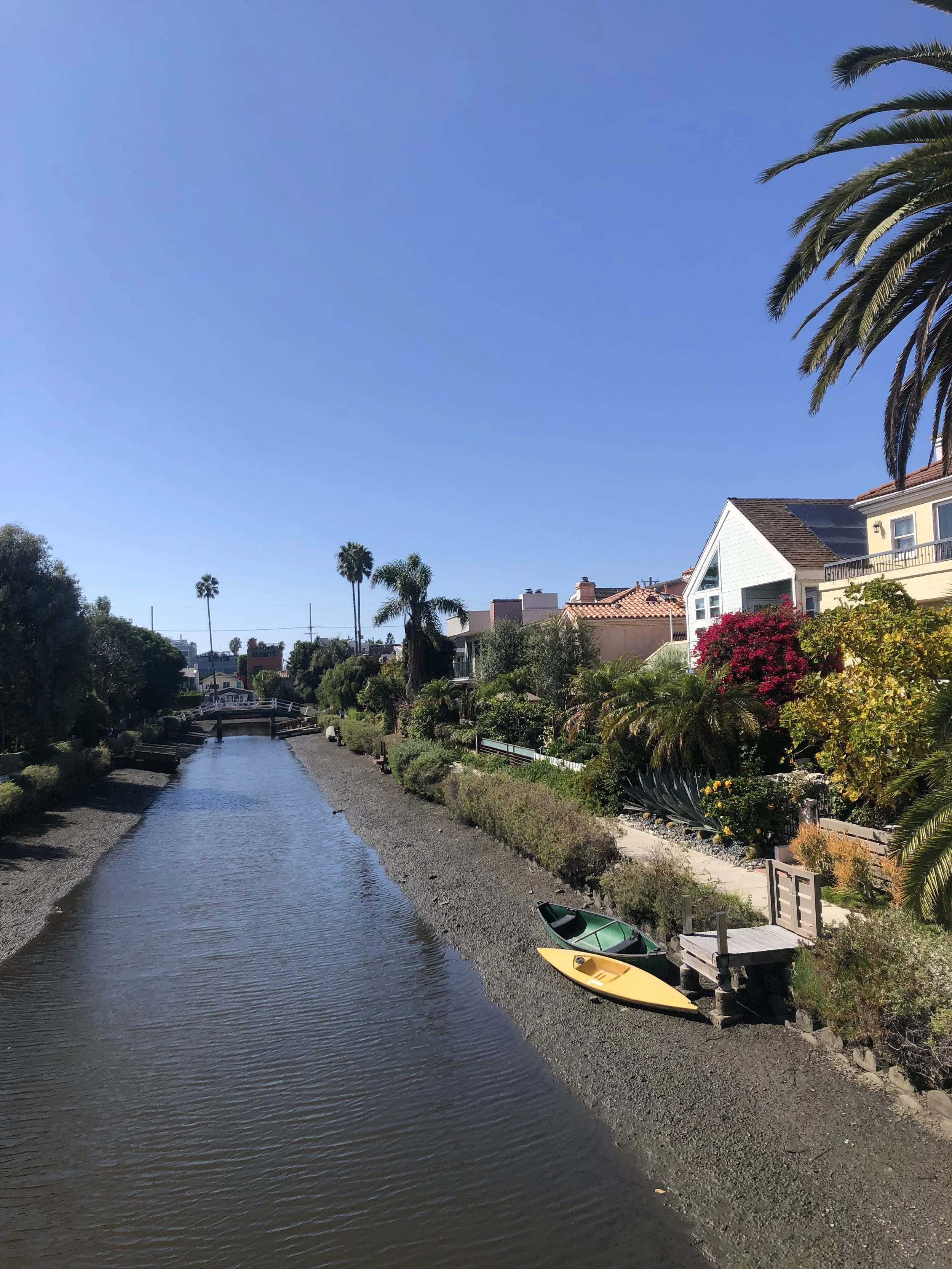 IMG_3891.jpeg