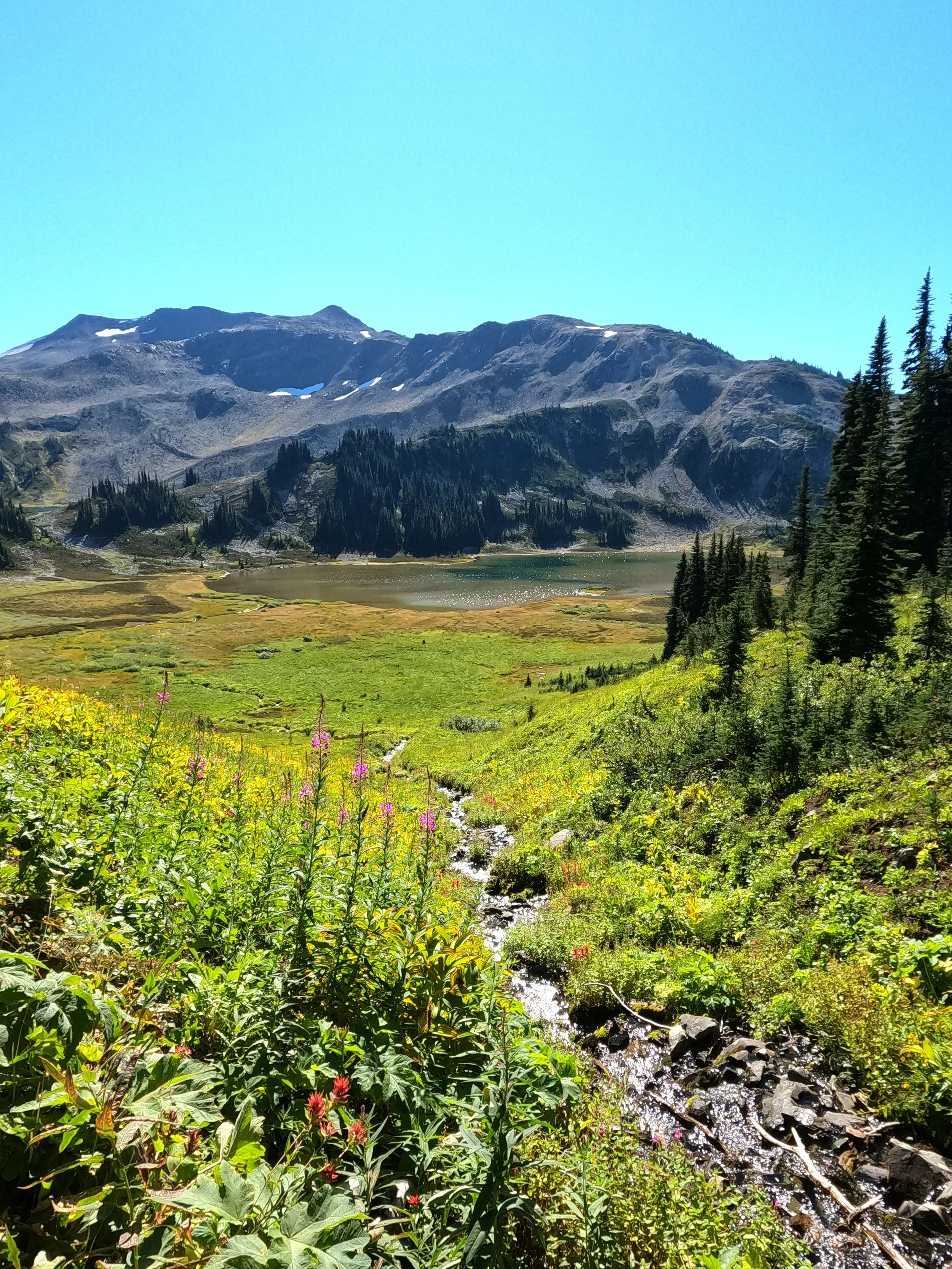 Panorama Ridge (Copy)
