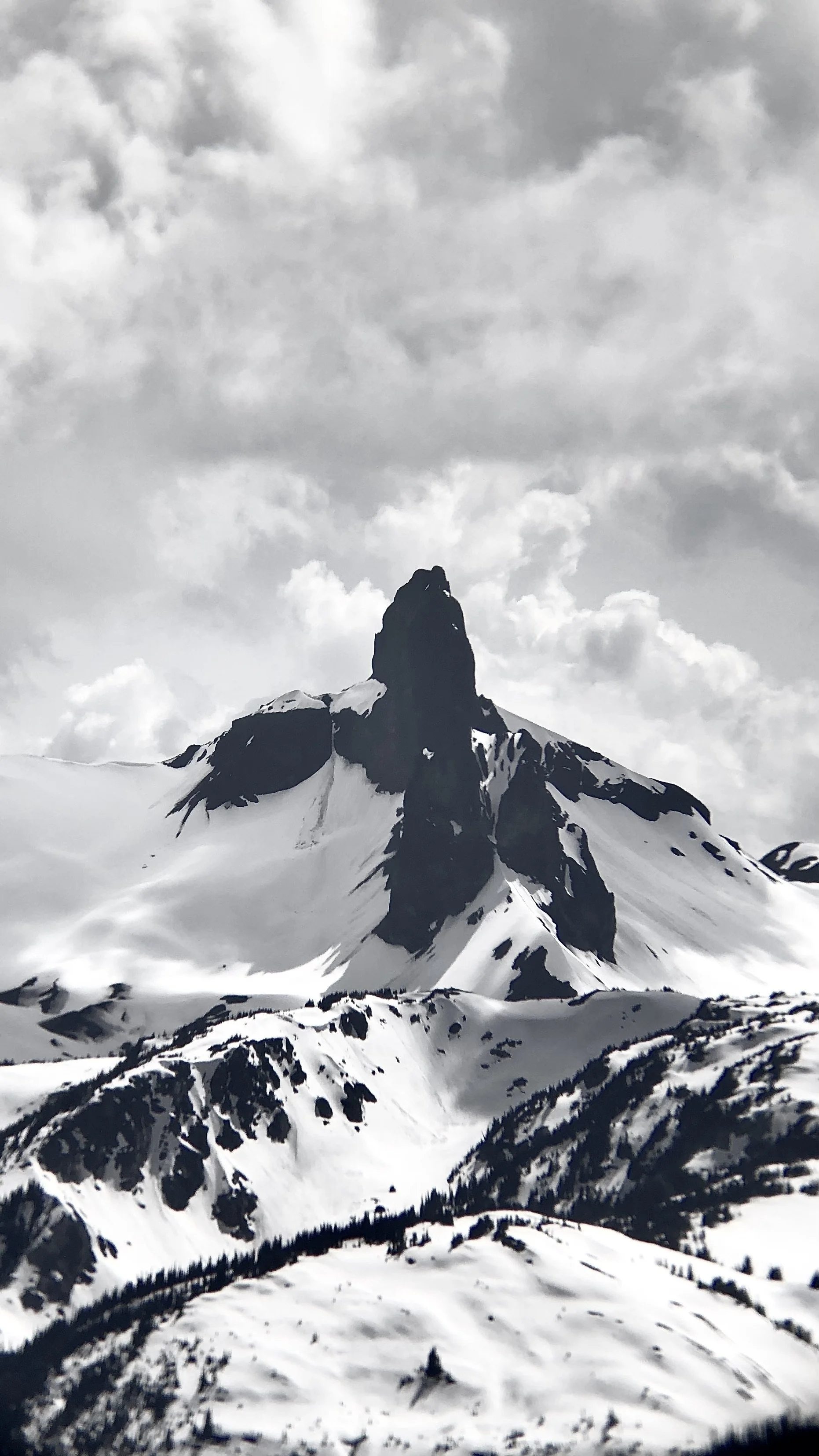 Blacktusk (Copy)