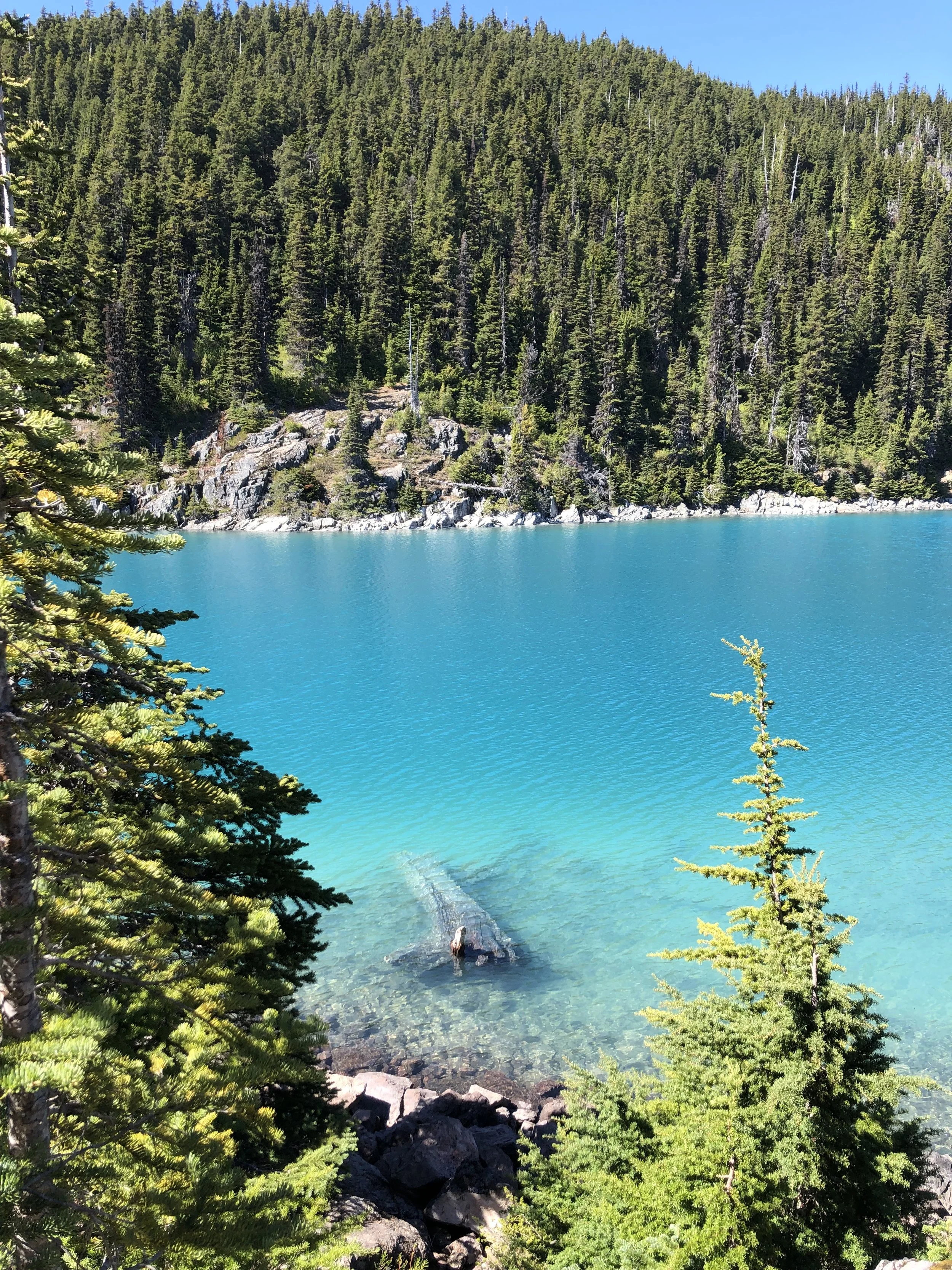 Garibaldi lake (Copy)