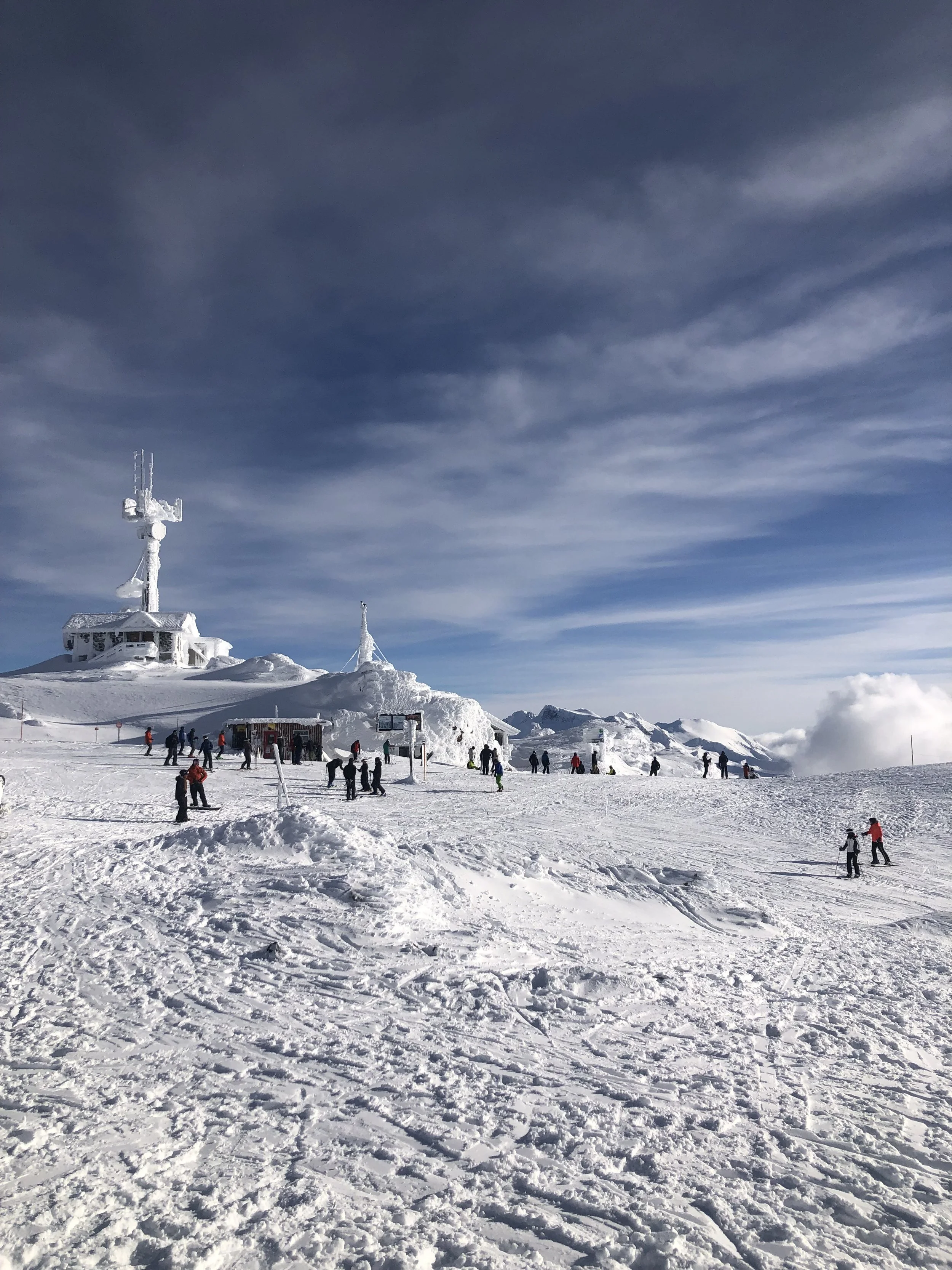 Whistler mountain top (Copy)
