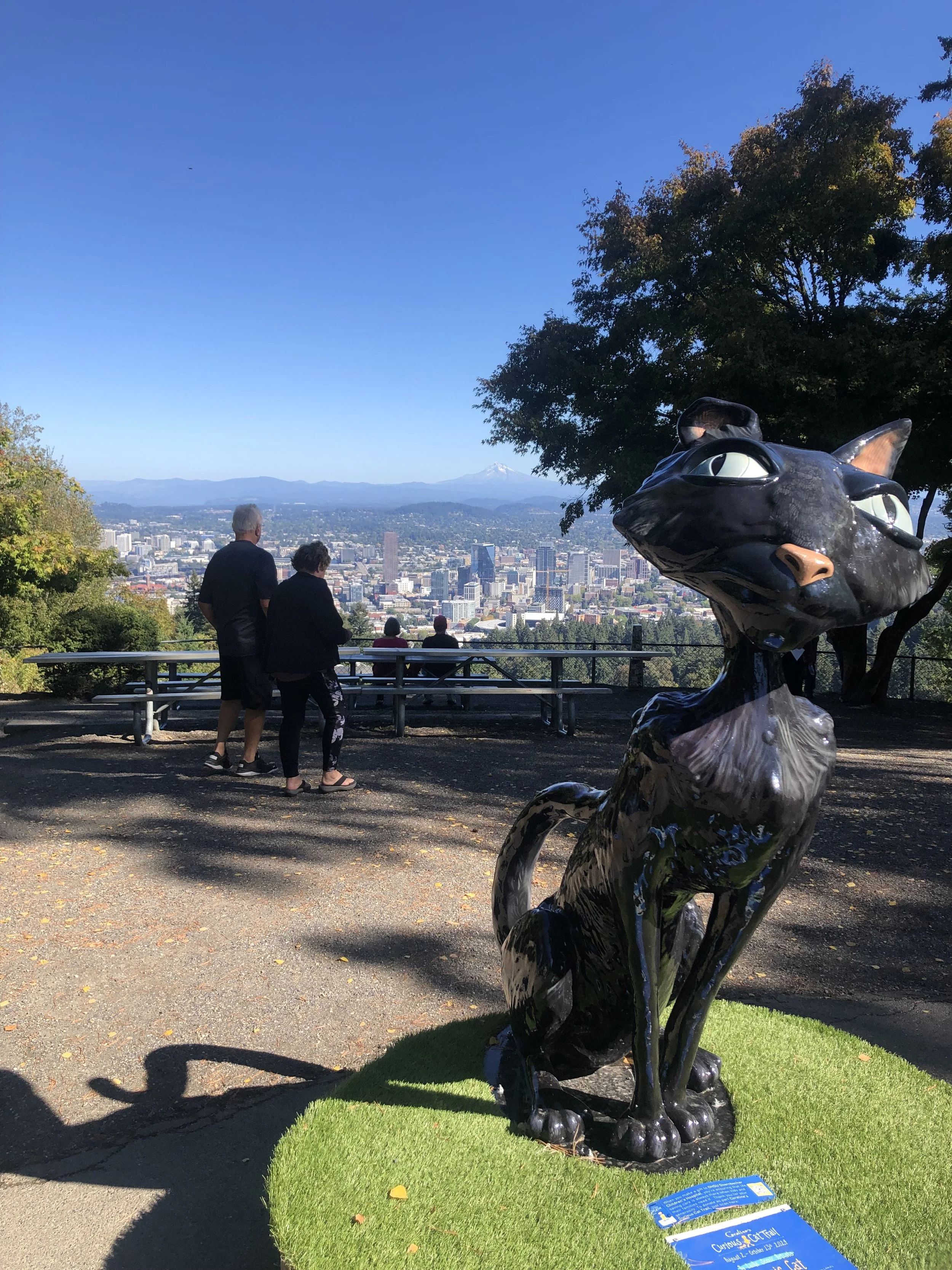IMG_6238.jpeg