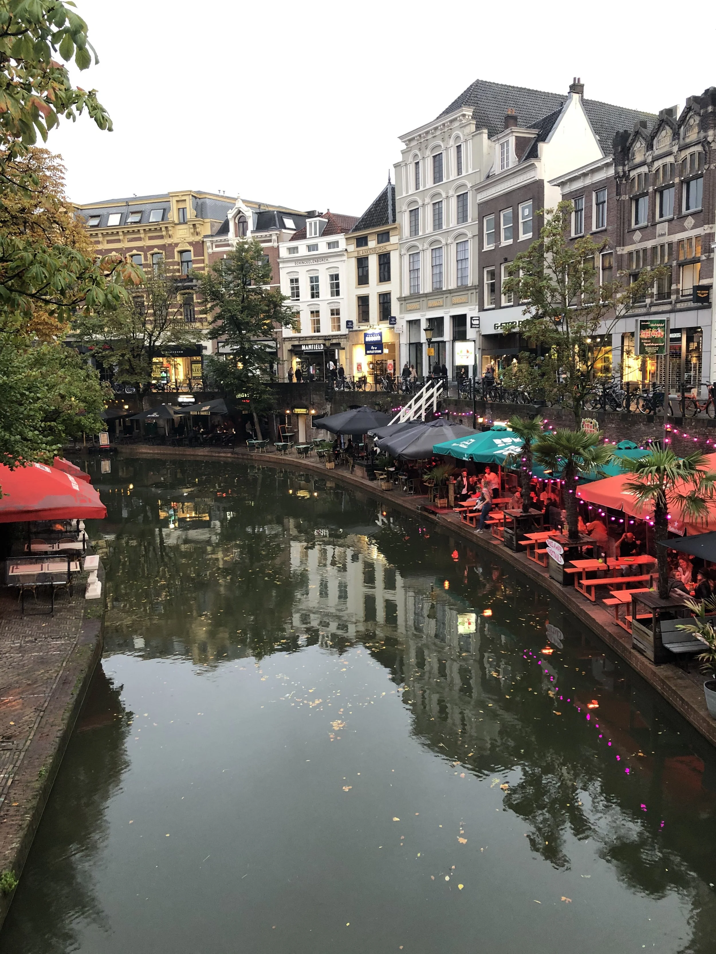 IMG_0084.jpeg