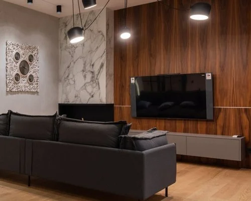 TV and Fireplace Interior.jpg
