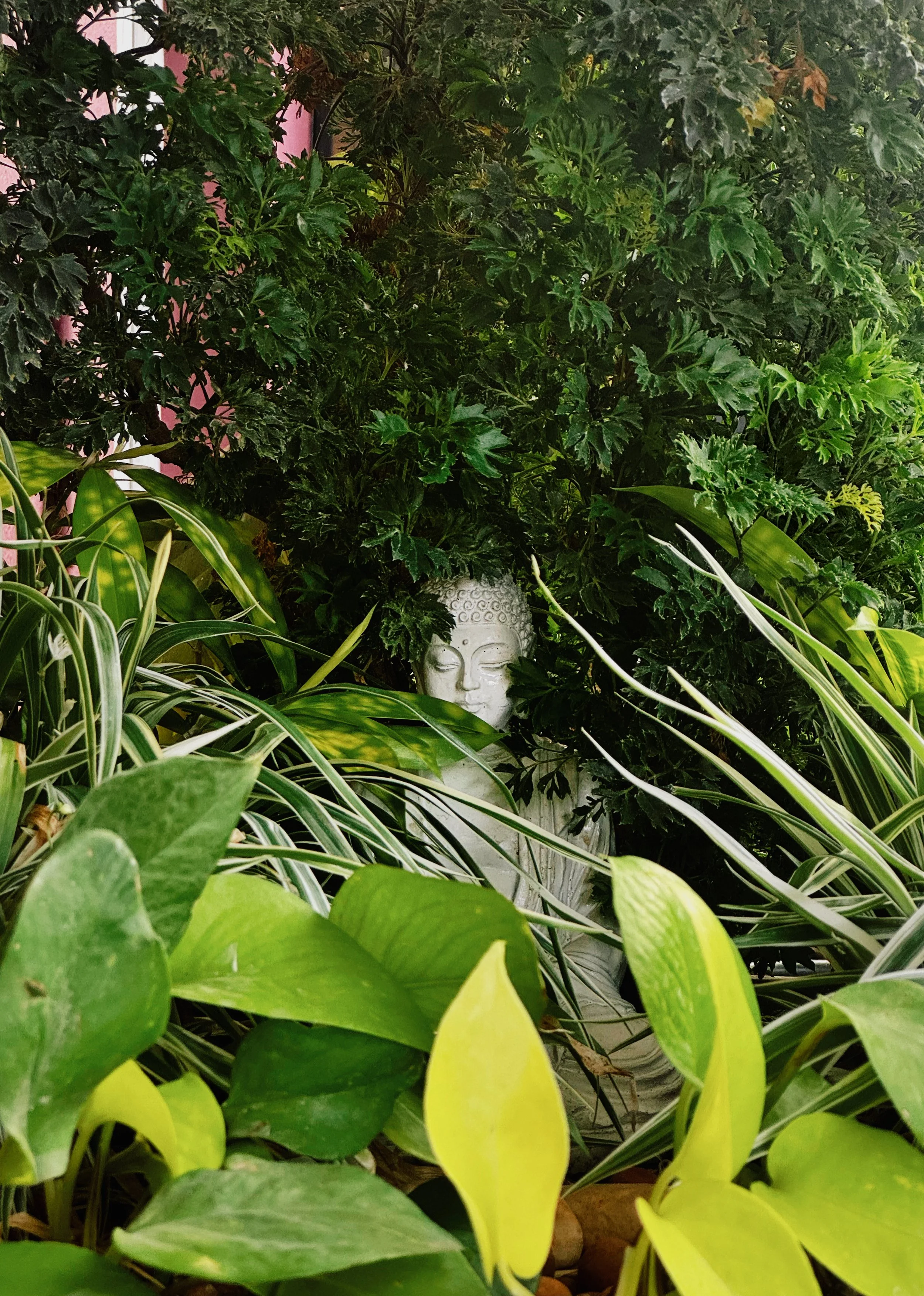 Return to Stillness