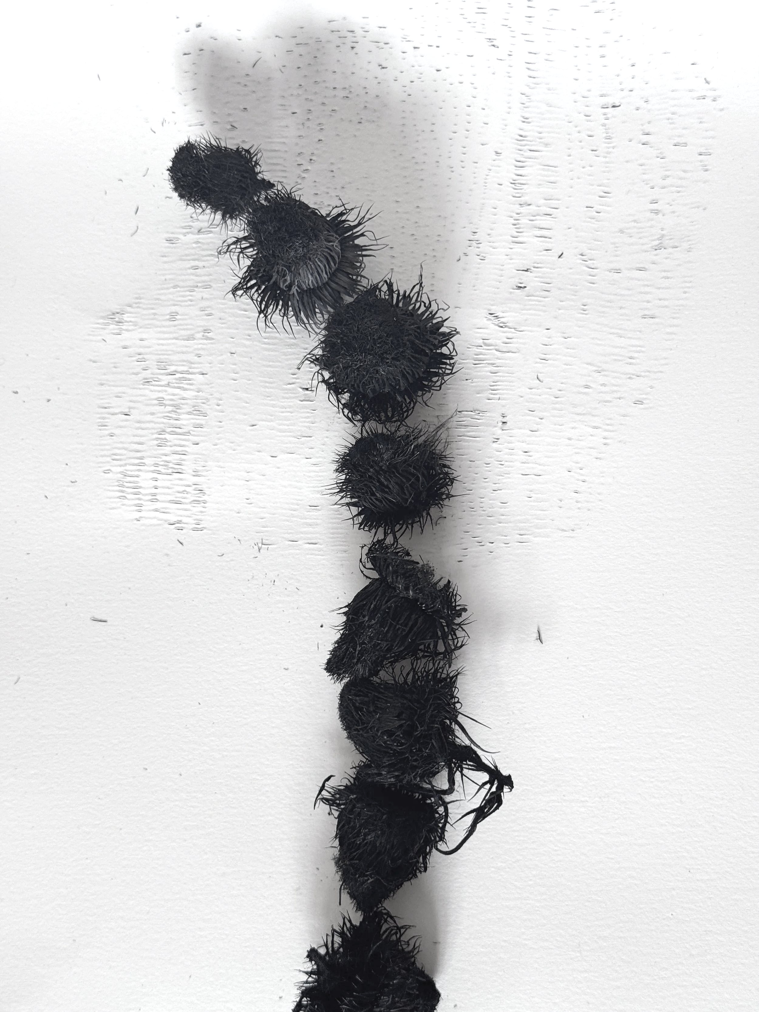 To Walk as a Form of Knowing