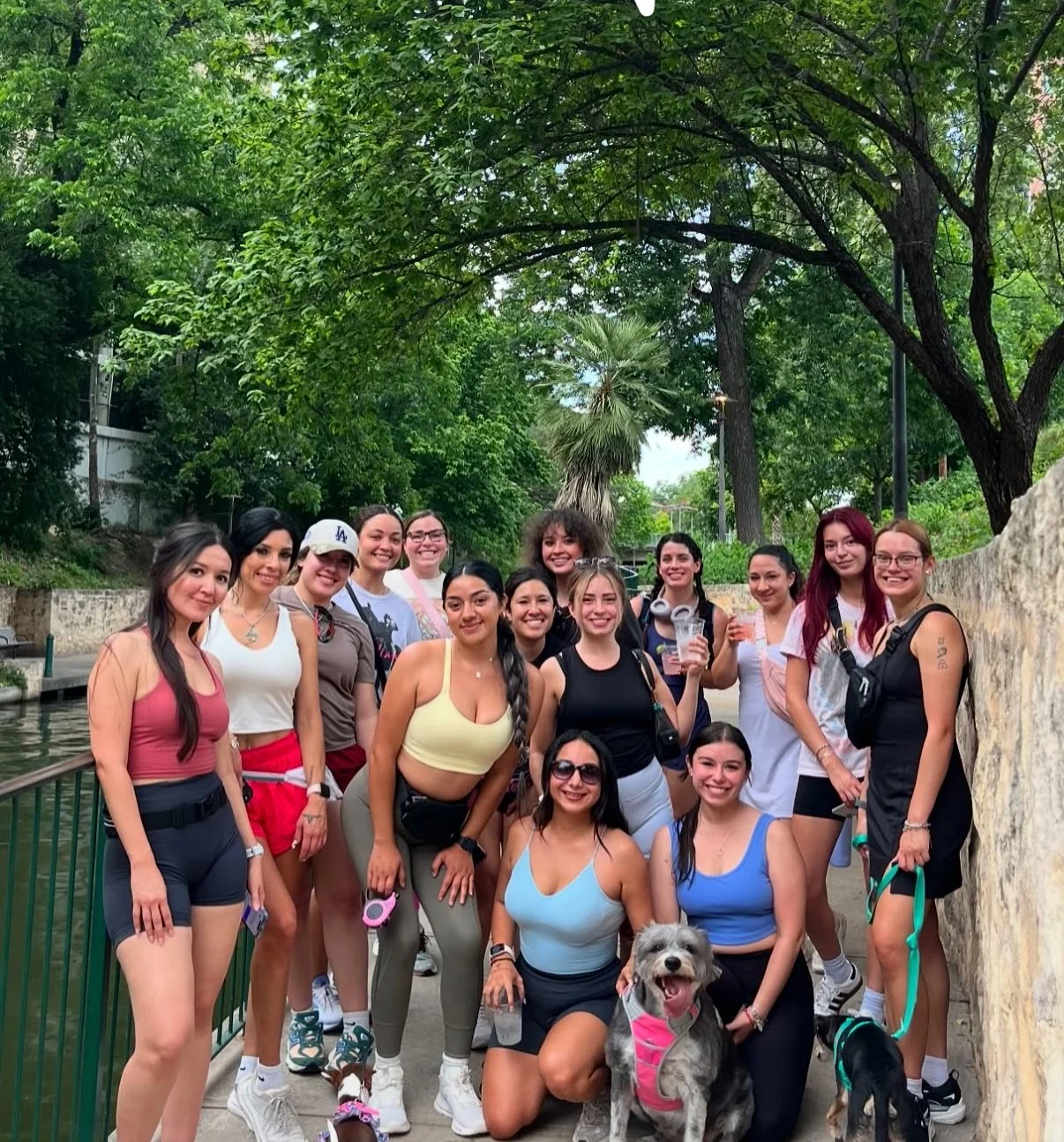 Group of women and dogs on a park pathway with green trees and stone wall in the background.