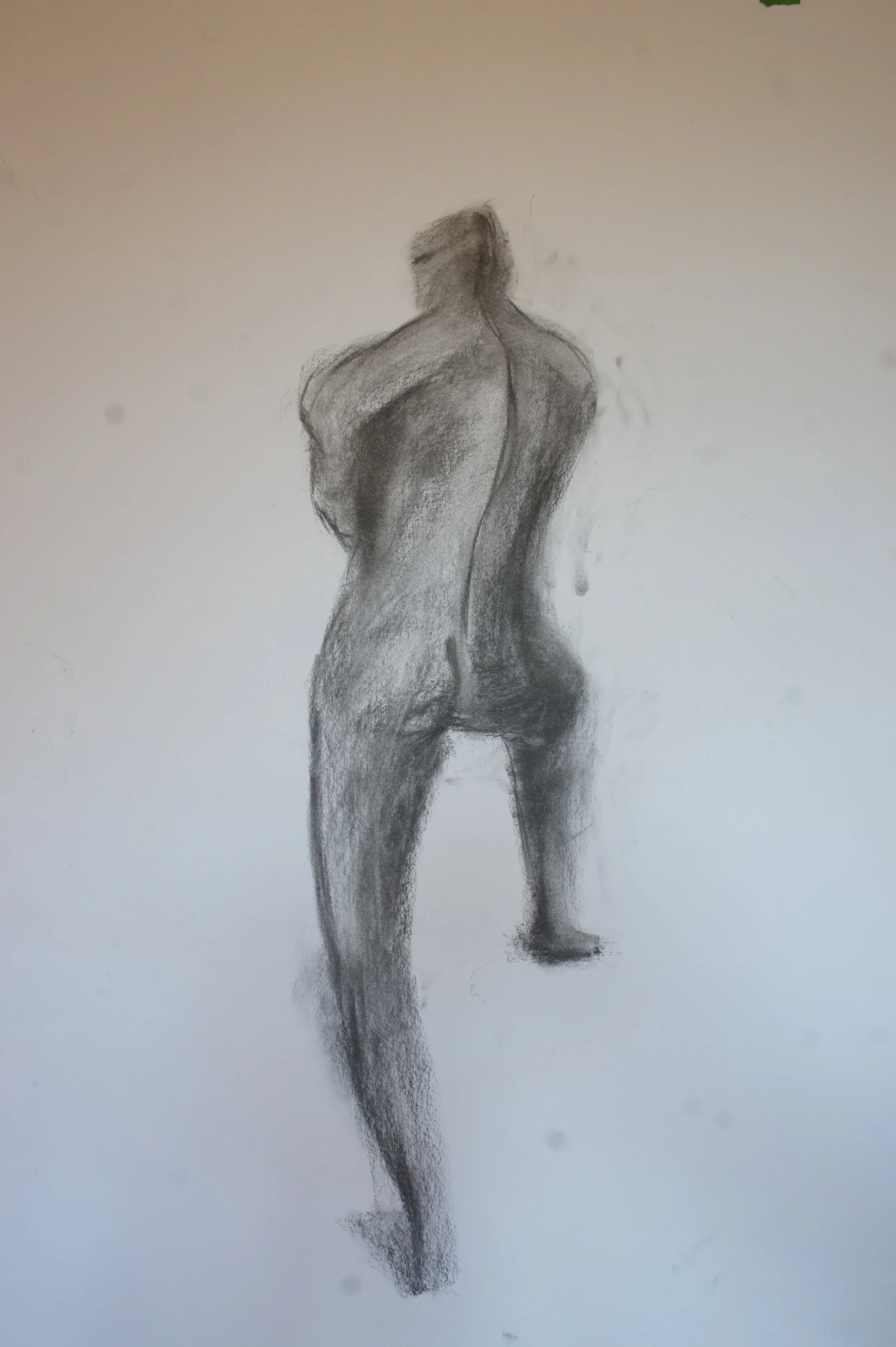 charcoal pose study: on Bristol Vellum
original: 23 in by 35 in