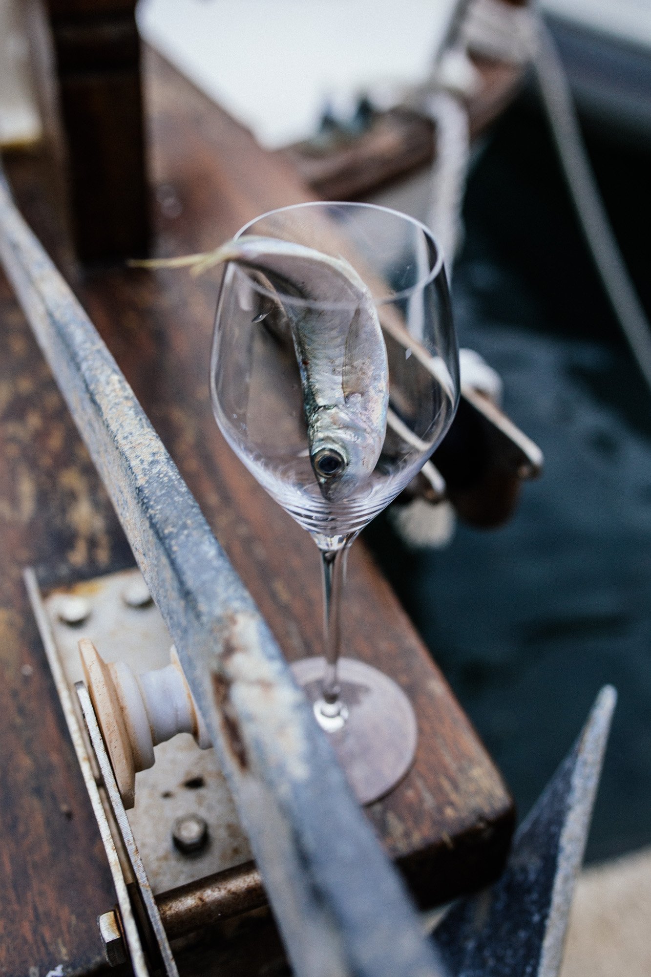 Krug X Fish WEB-9.jpg