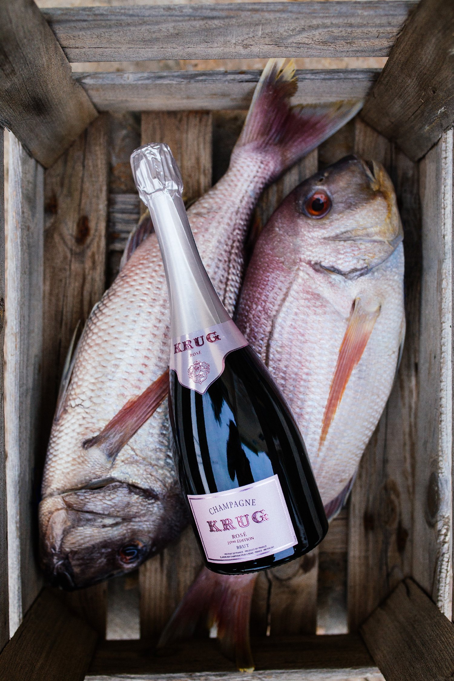 Krug-X-Fish-WEB-10.jpg