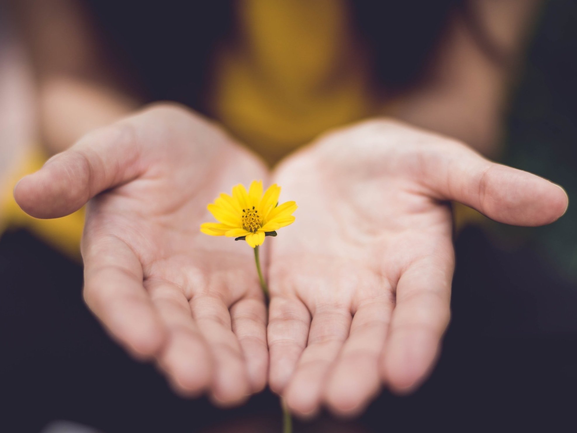 unsplash-image-ktPKyUs3Qjs.jpg